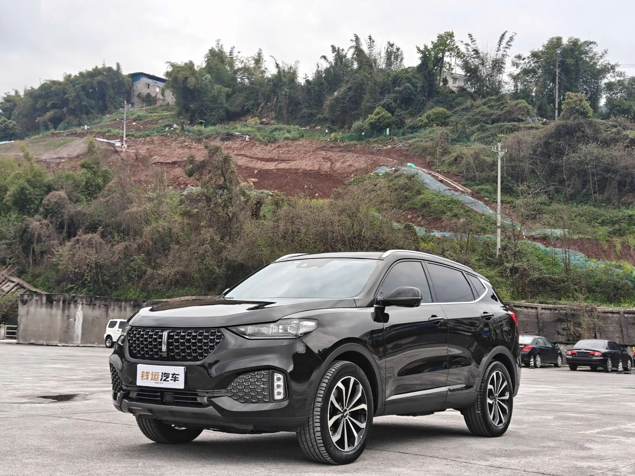 Wey Wei brand VV6