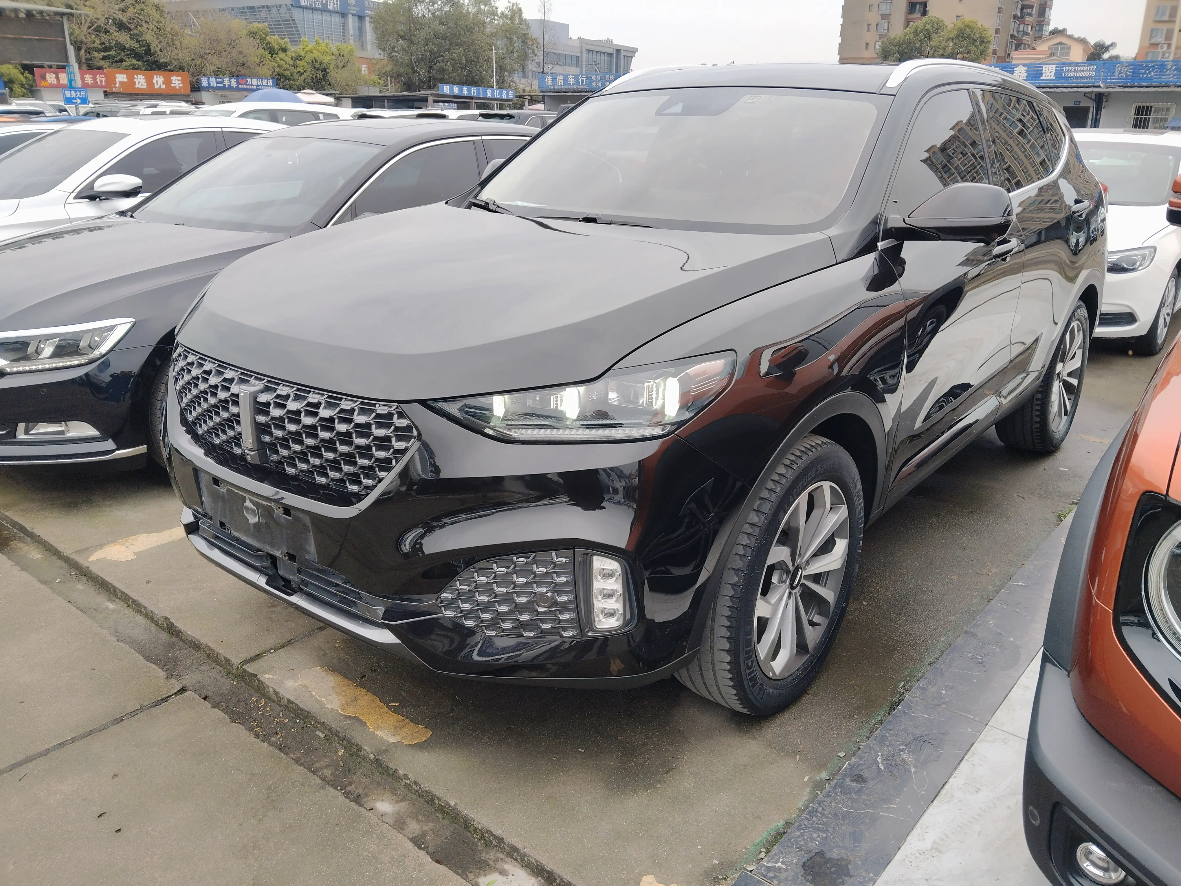 Wey Wei brand VV6