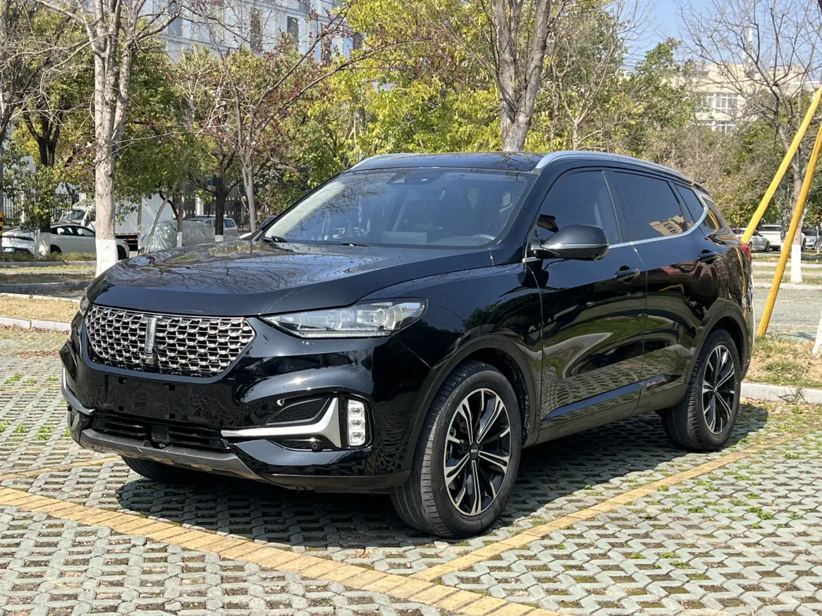 Wey Wei brand VV6
