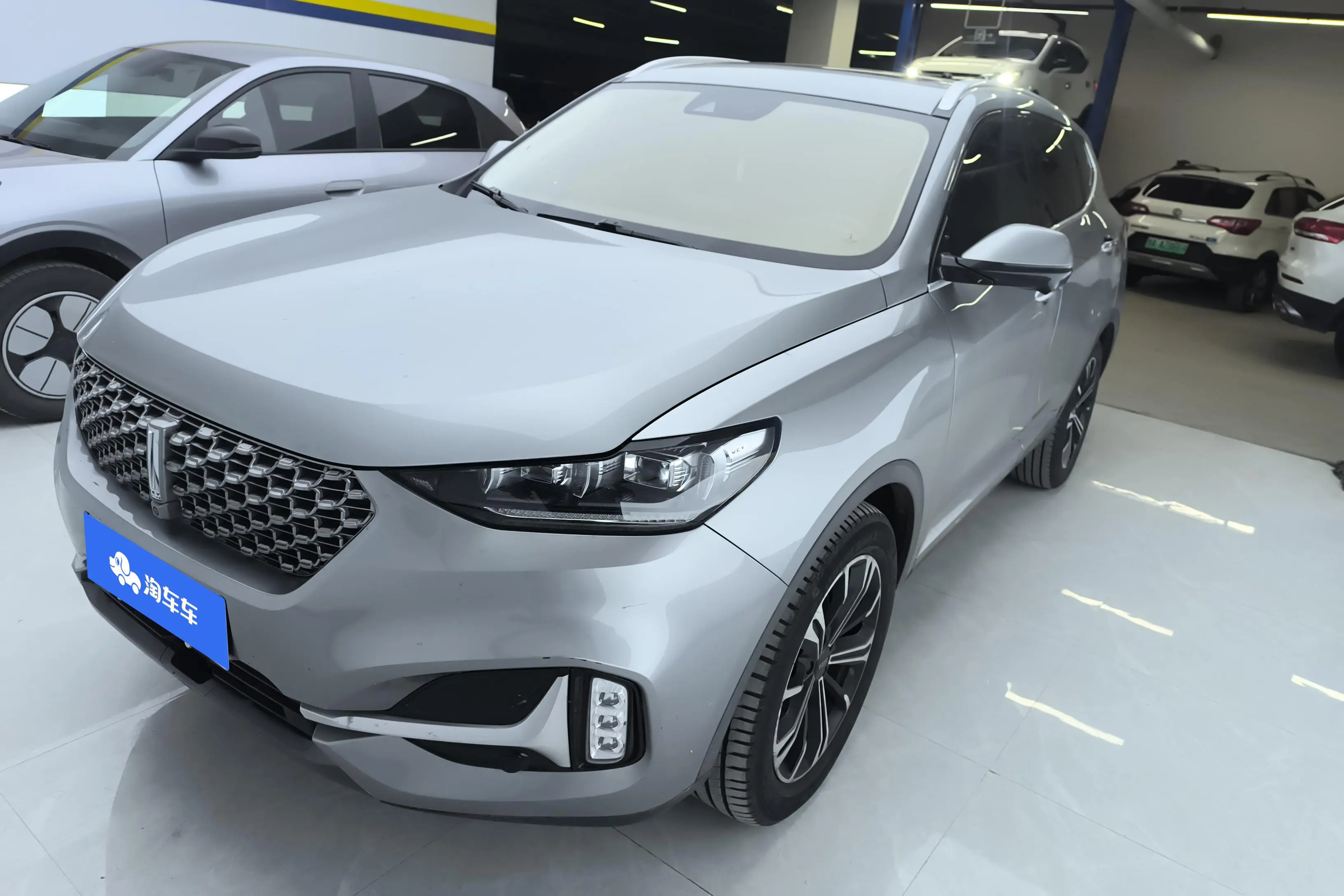 Wey Wei brand VV6