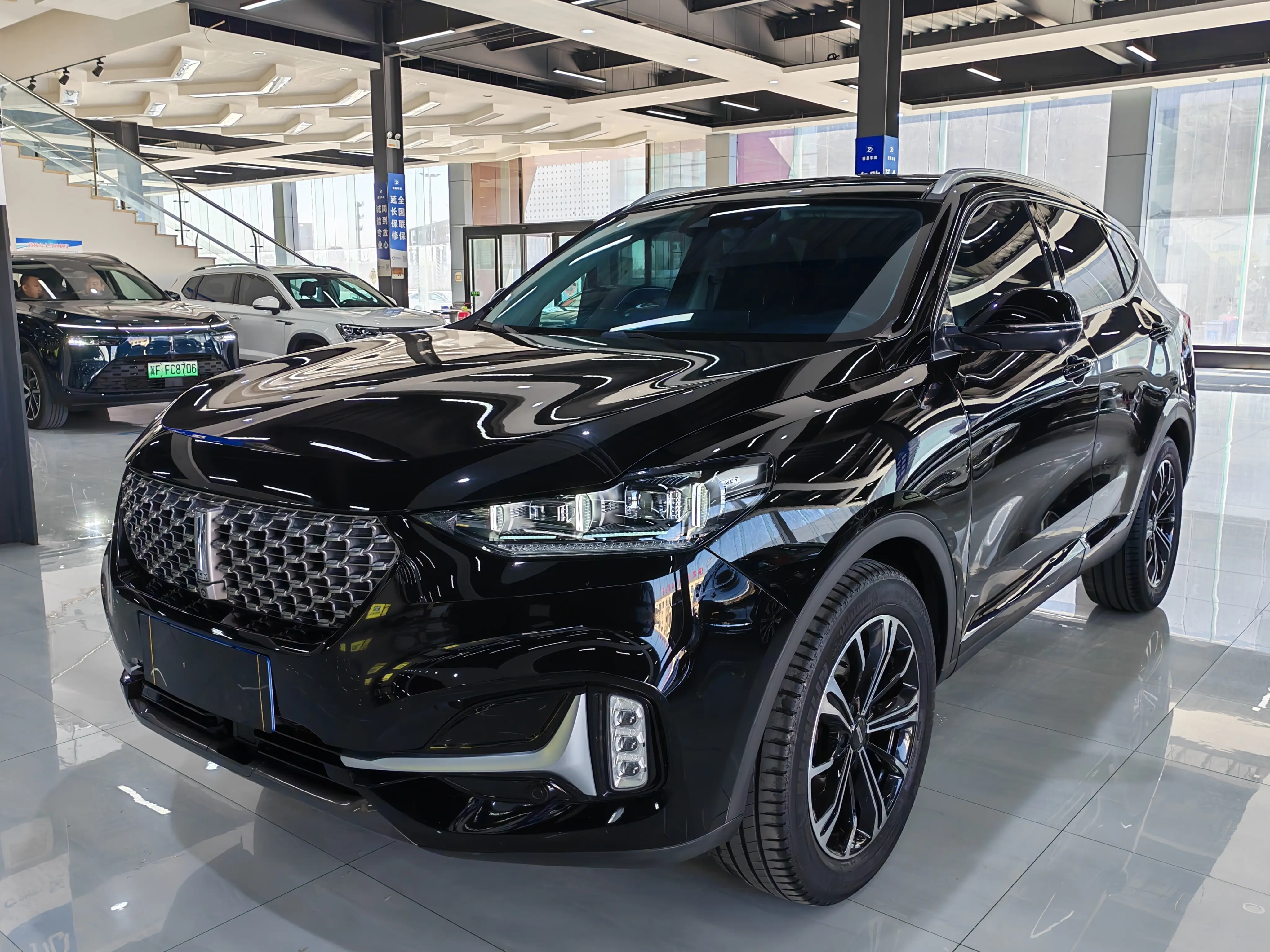 Wey Wei brand VV6