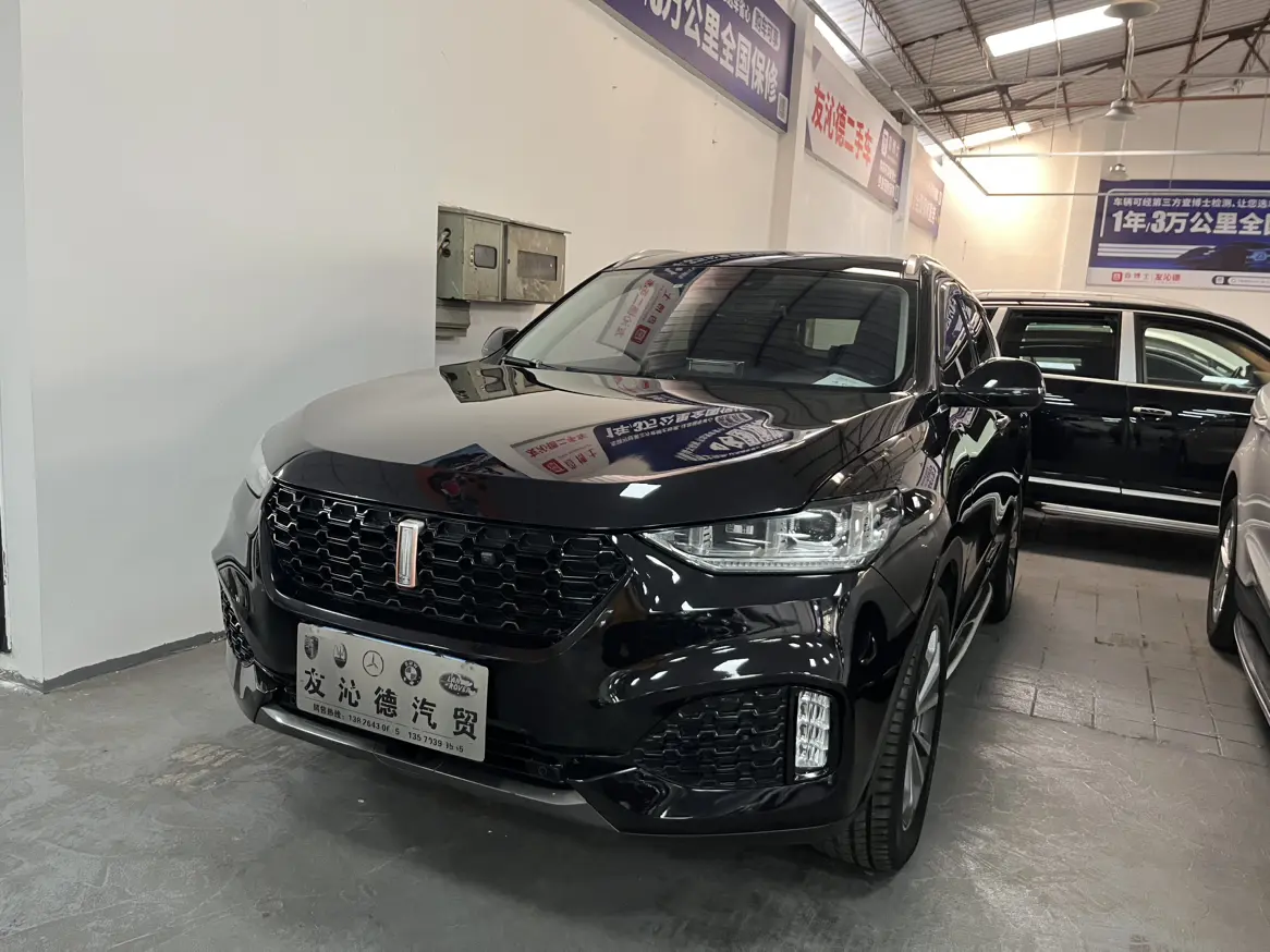 Wey Wei brand VV6