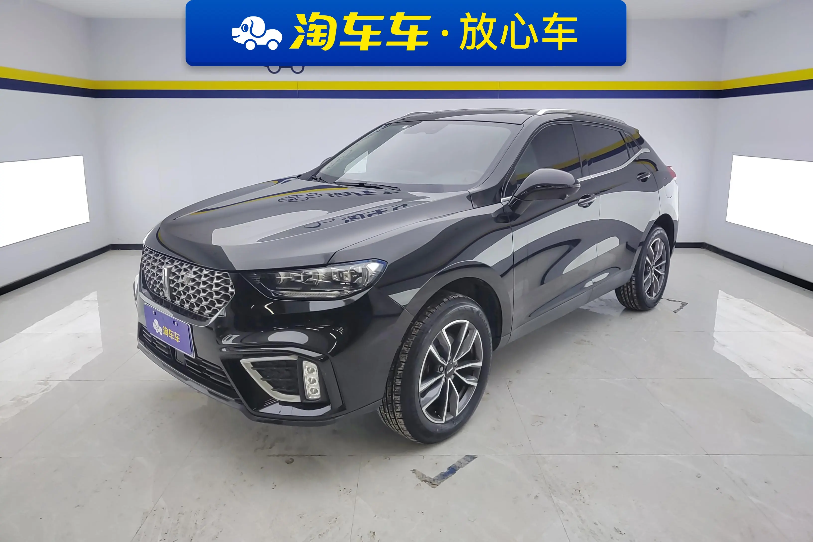 Wey Wei brand VV5