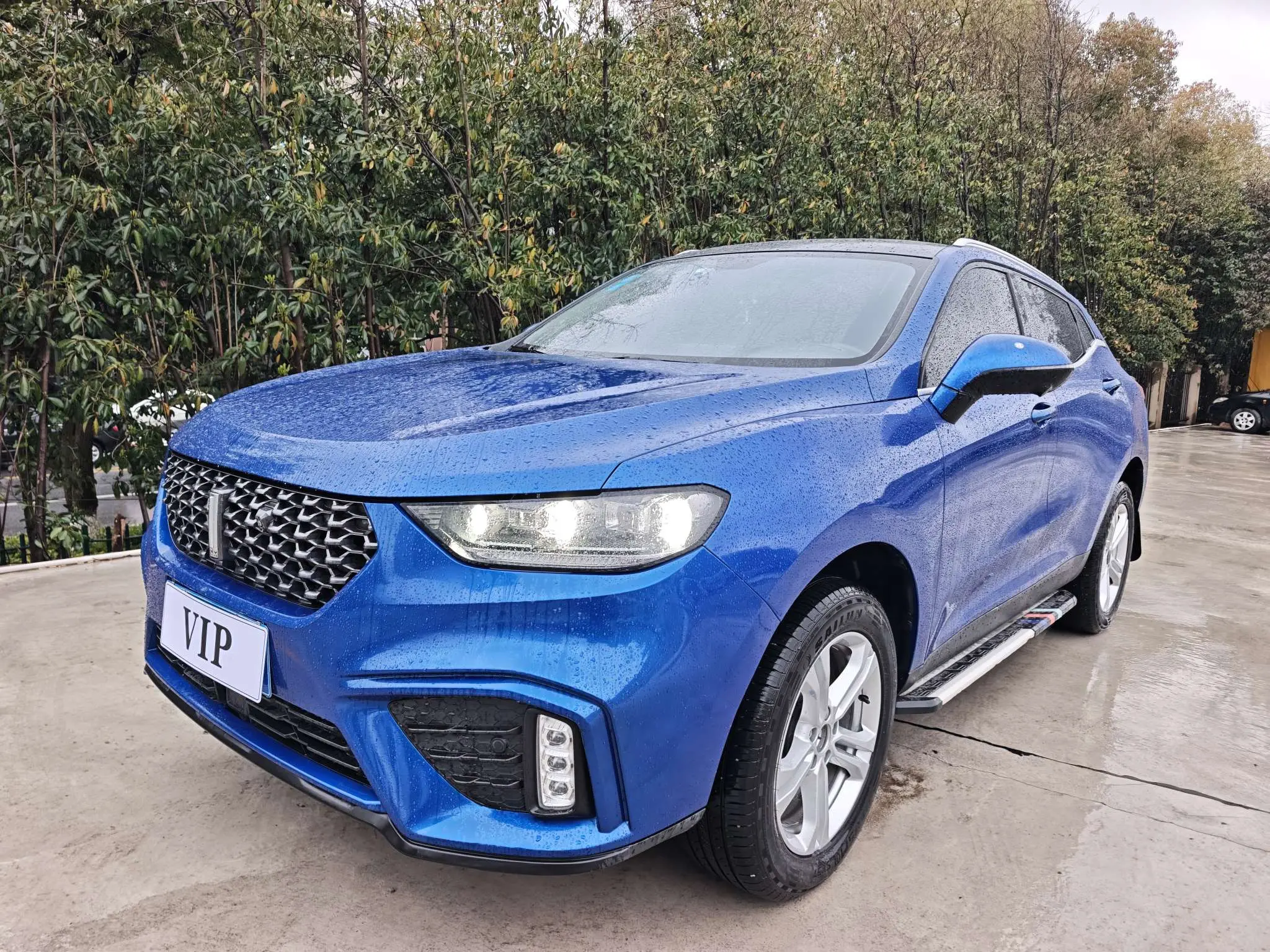 Wey Wei brand VV5