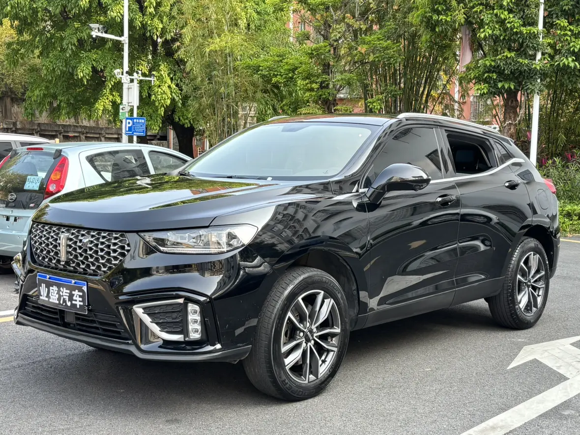 Wey Wei brand VV5