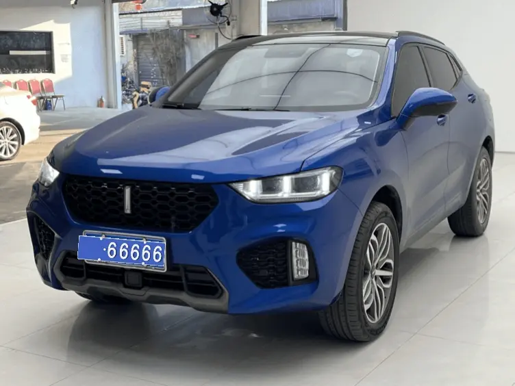 Wey Wei brand VV5
