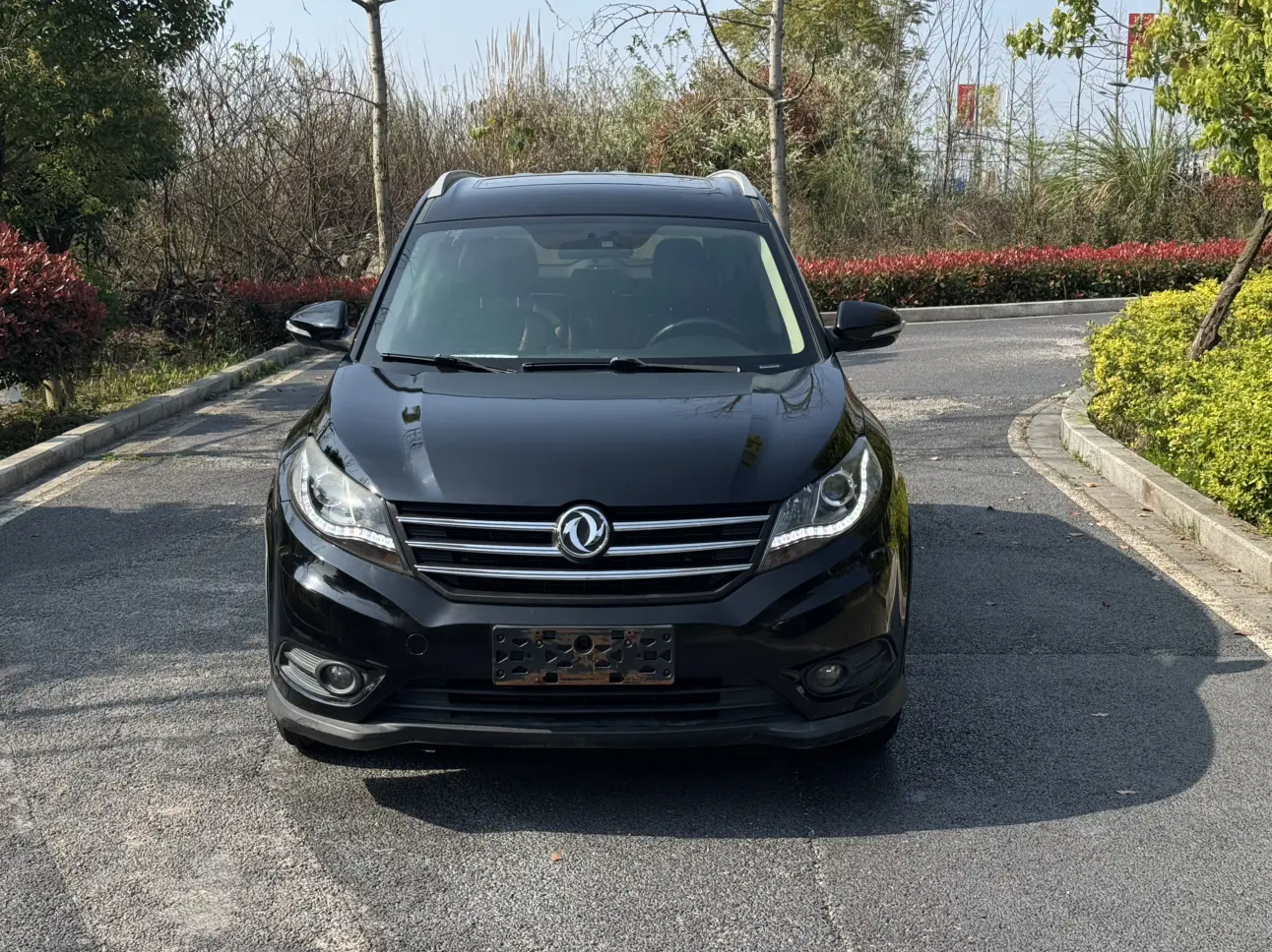 Dongfeng Fengon 580  из Китая