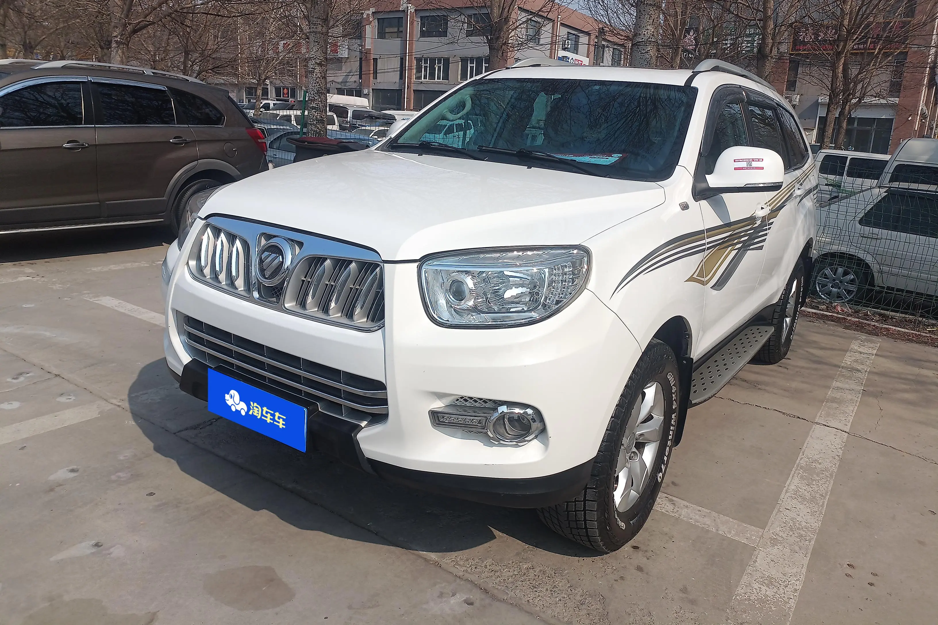 Foton Savannah