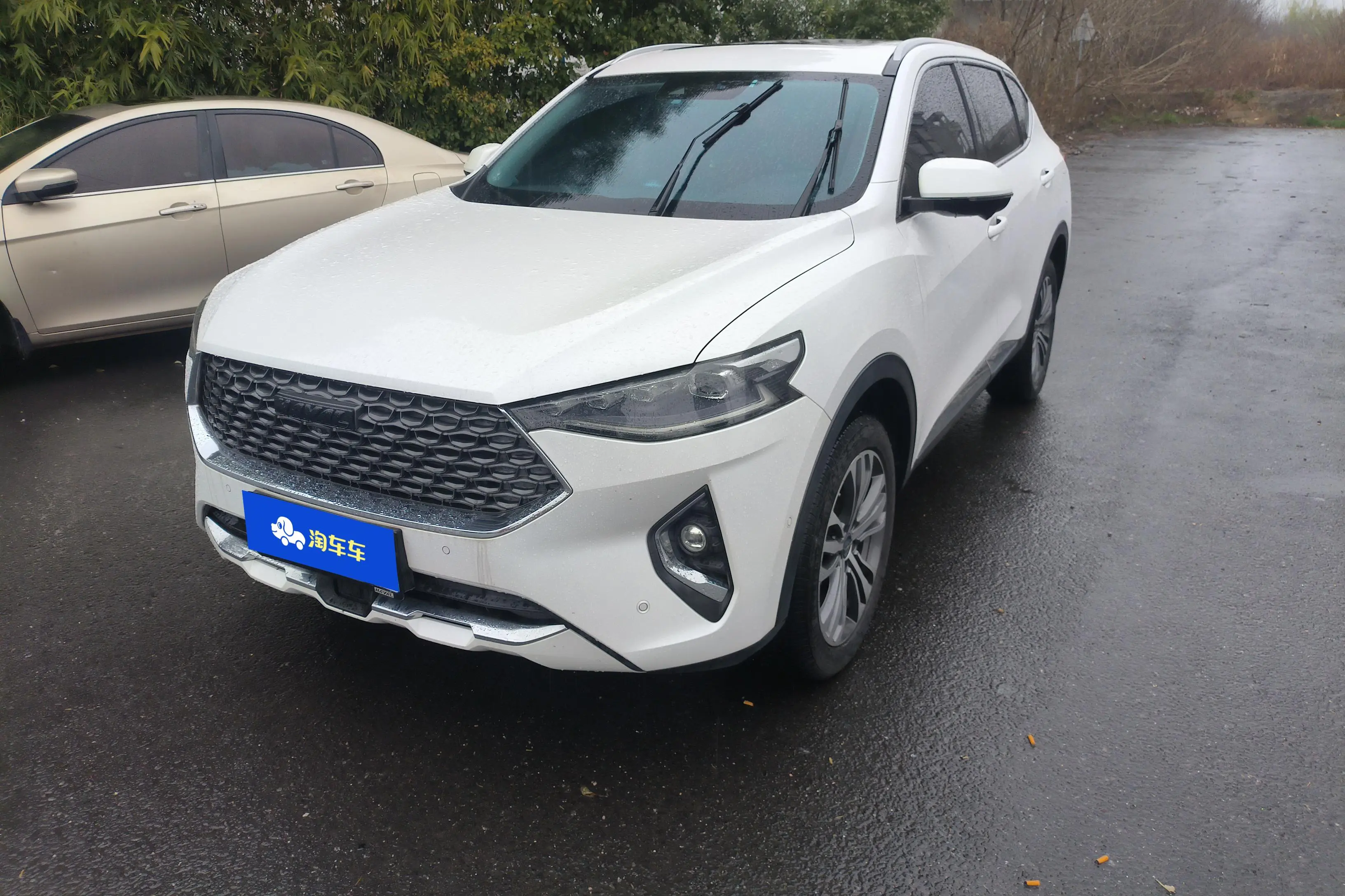 Haval F7