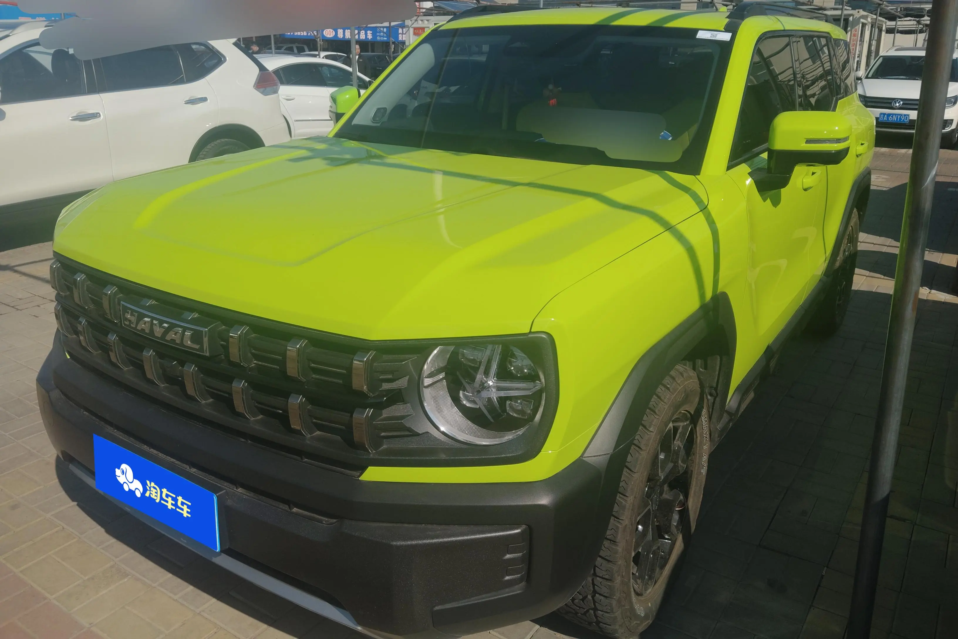 Haval cool dog