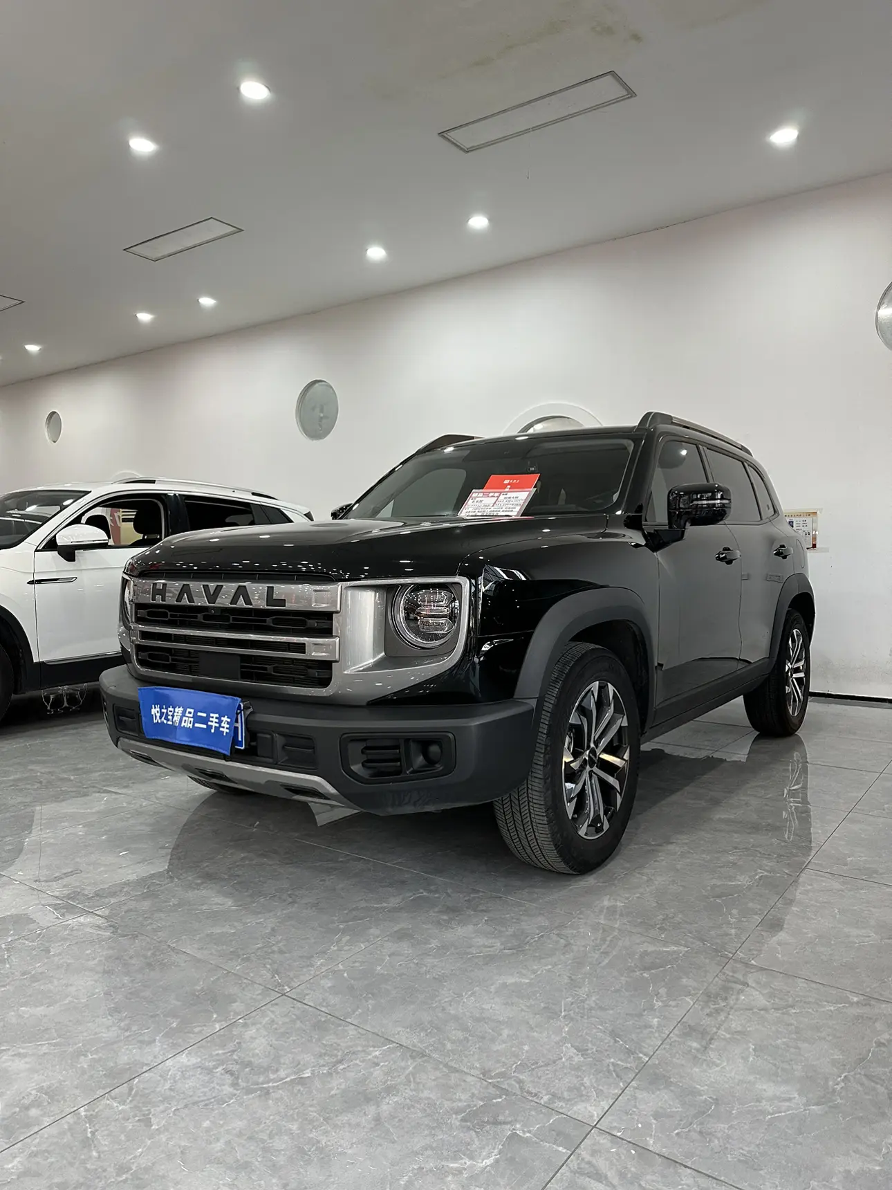 Haval Dargo