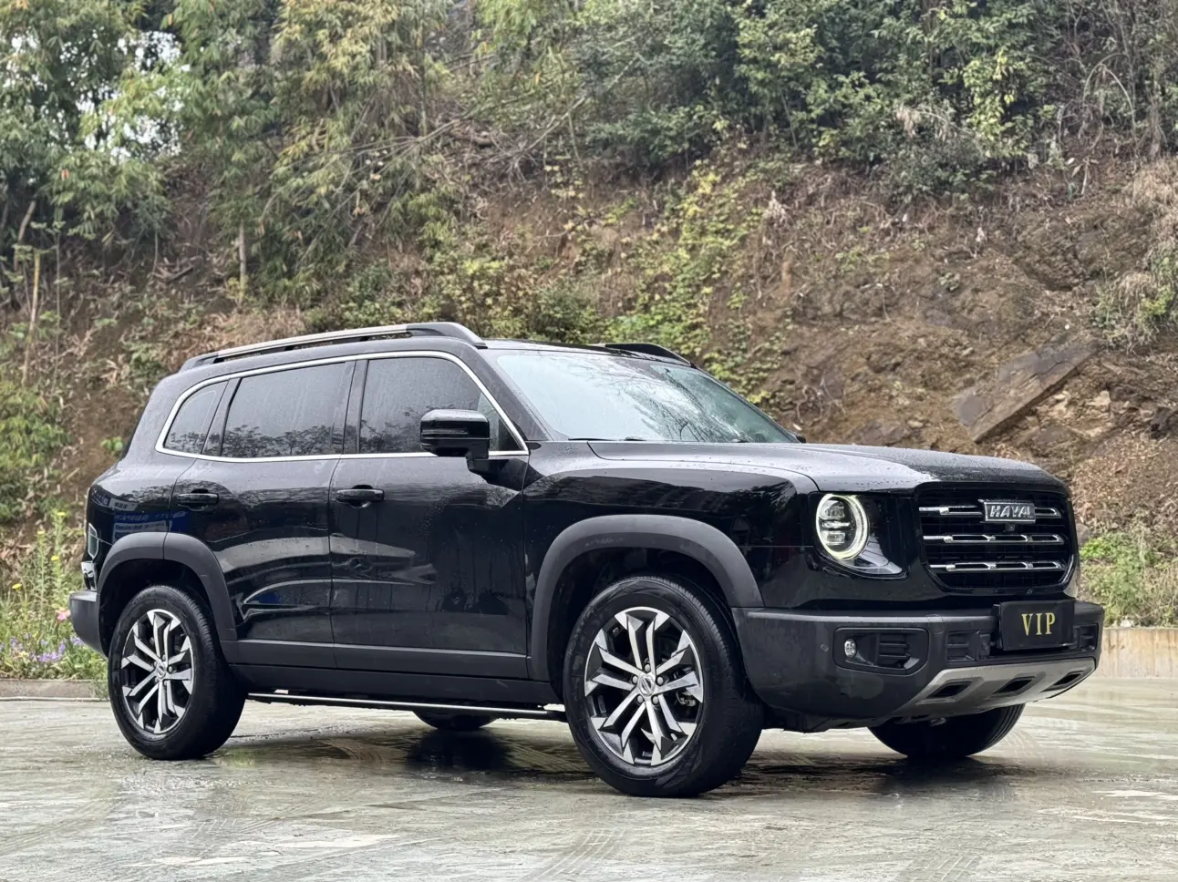 Haval Dargo