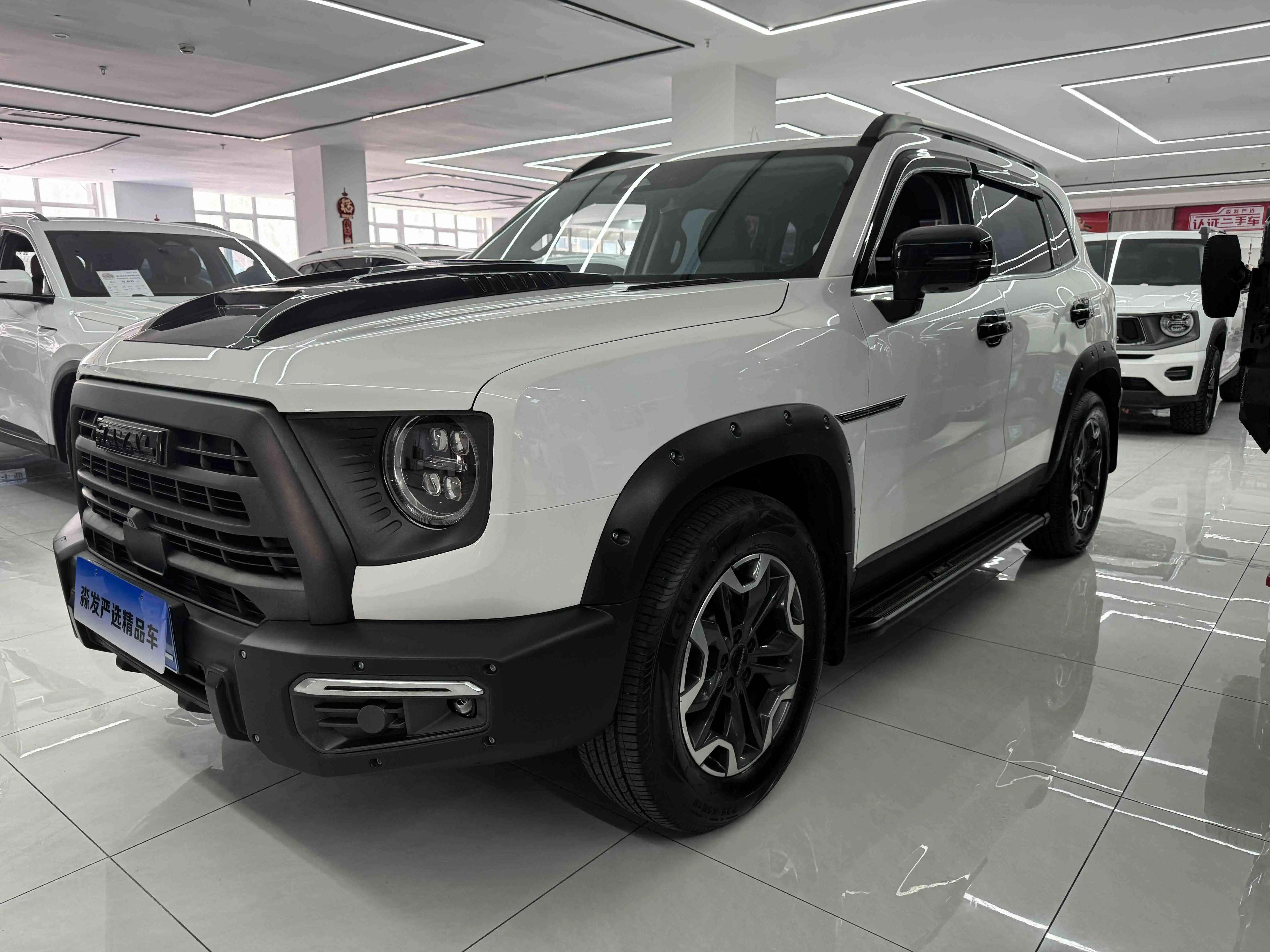 Haval Dargo