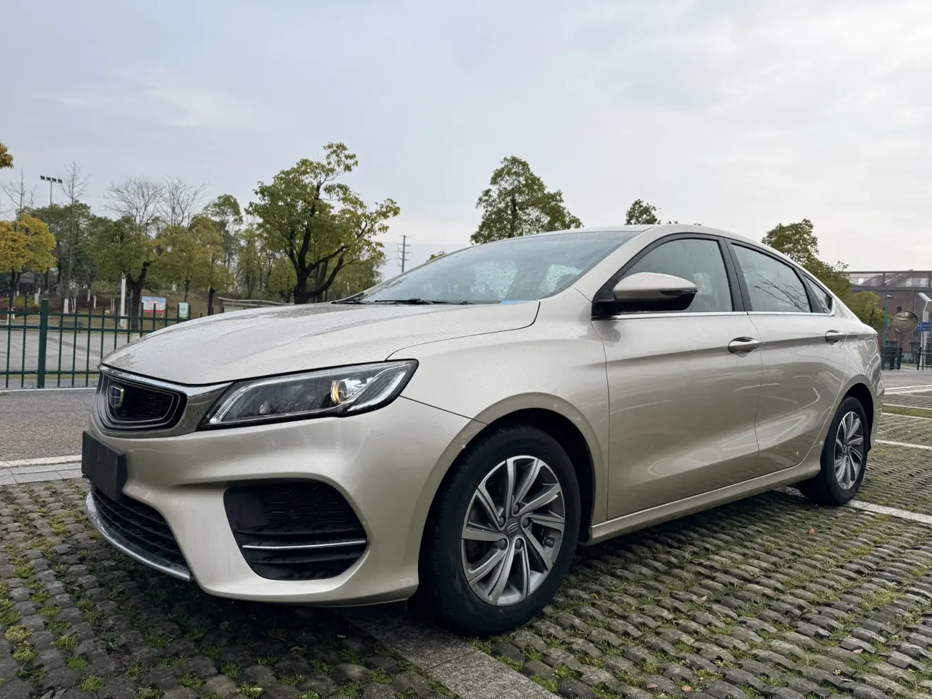 Geely Binrui