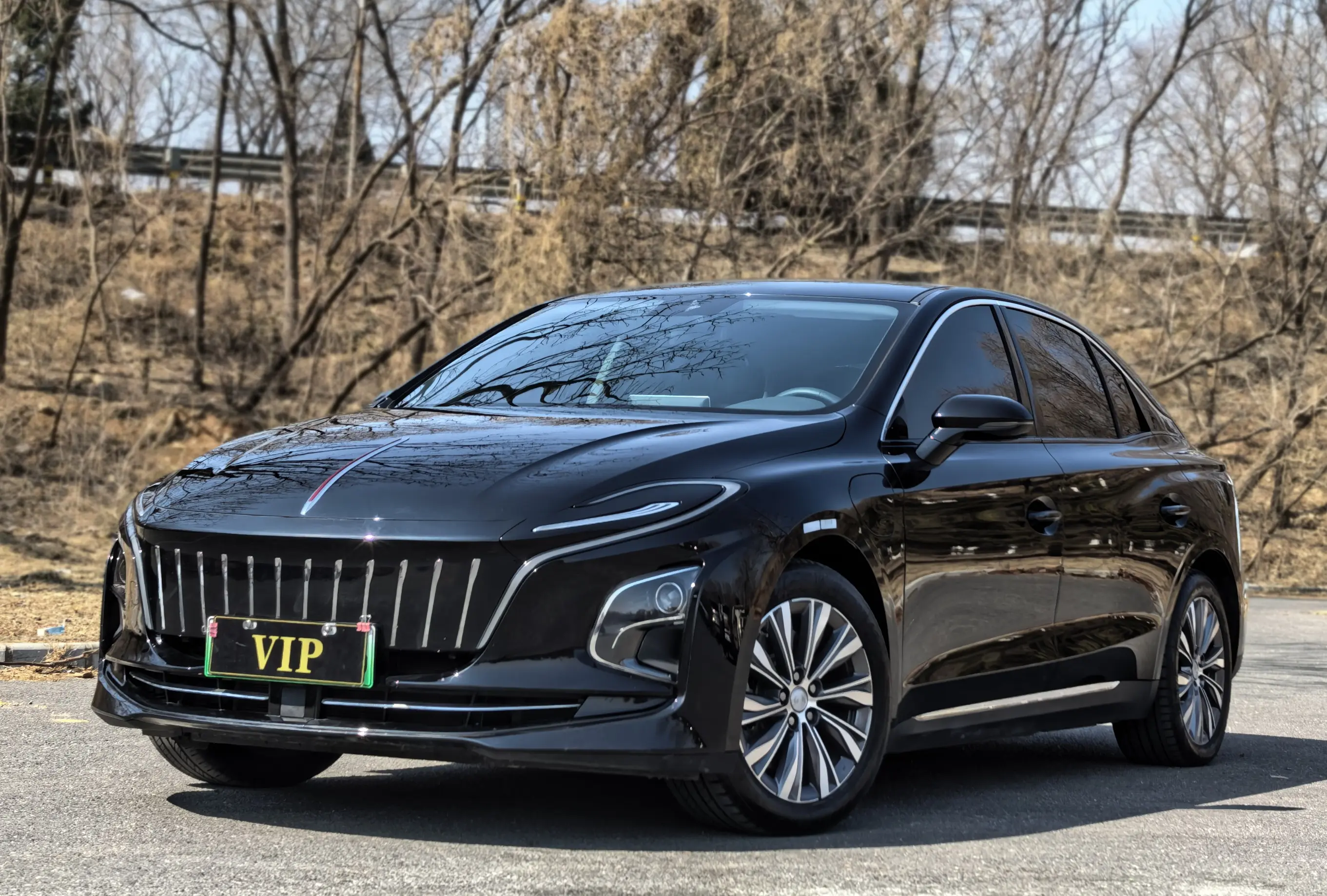 Hongqi E-QM5