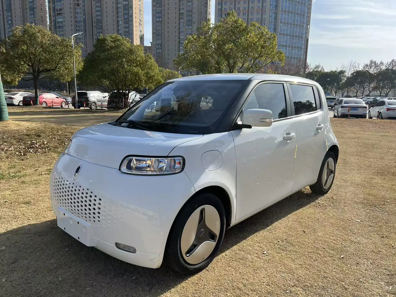 ORA Euler white cat  из Китая