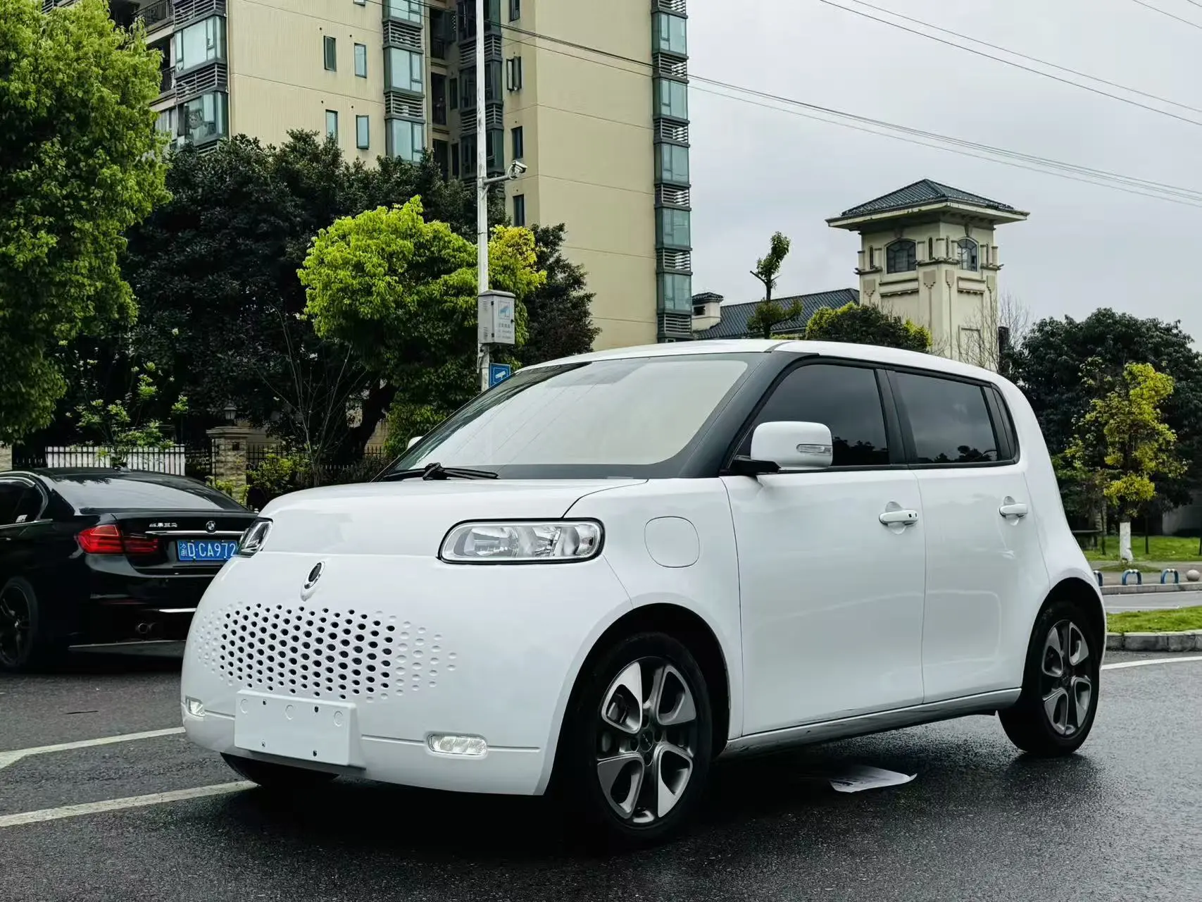 ORA Euler white cat  из Китая