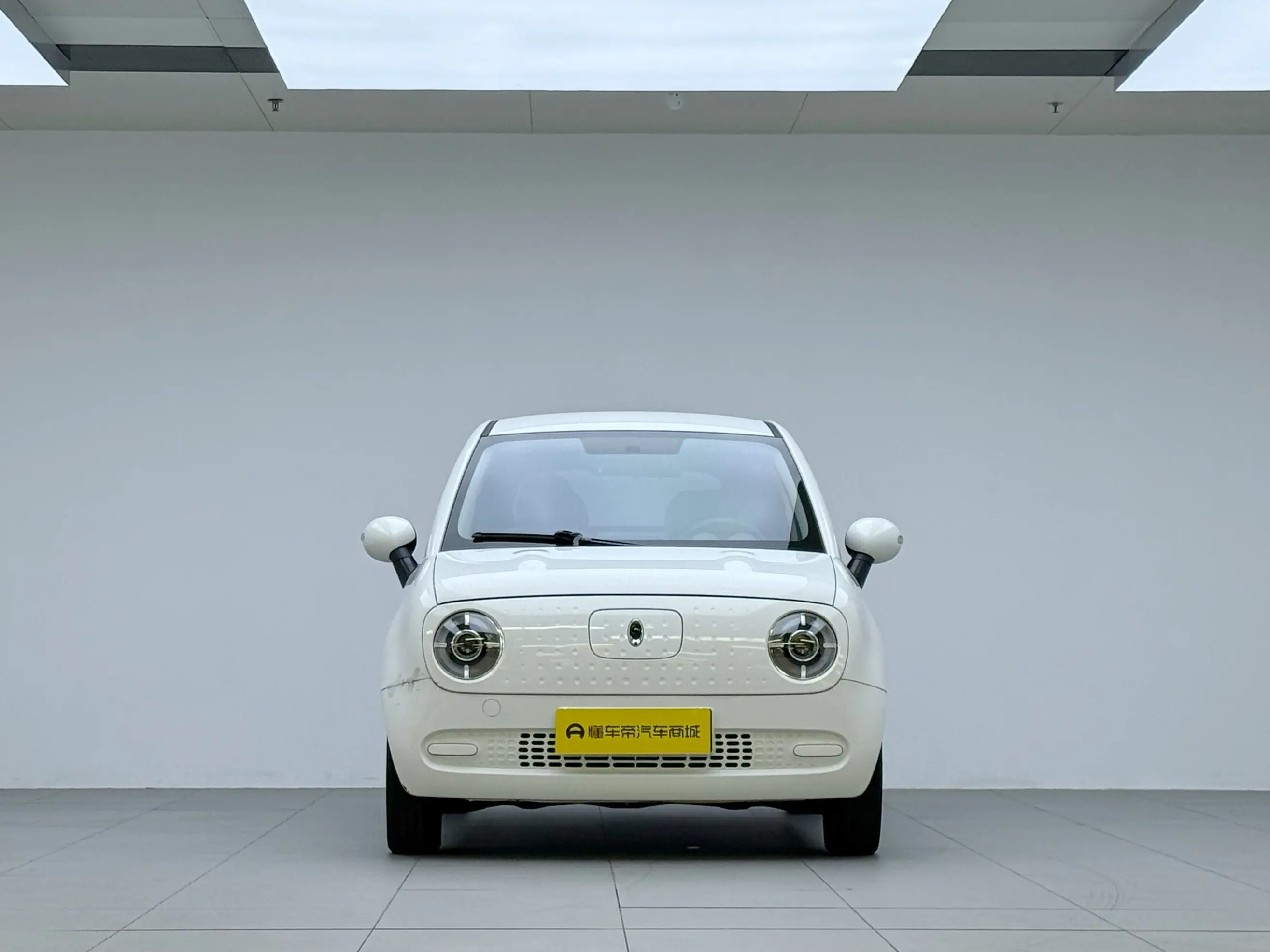 ORA Euler black cat  из Китая