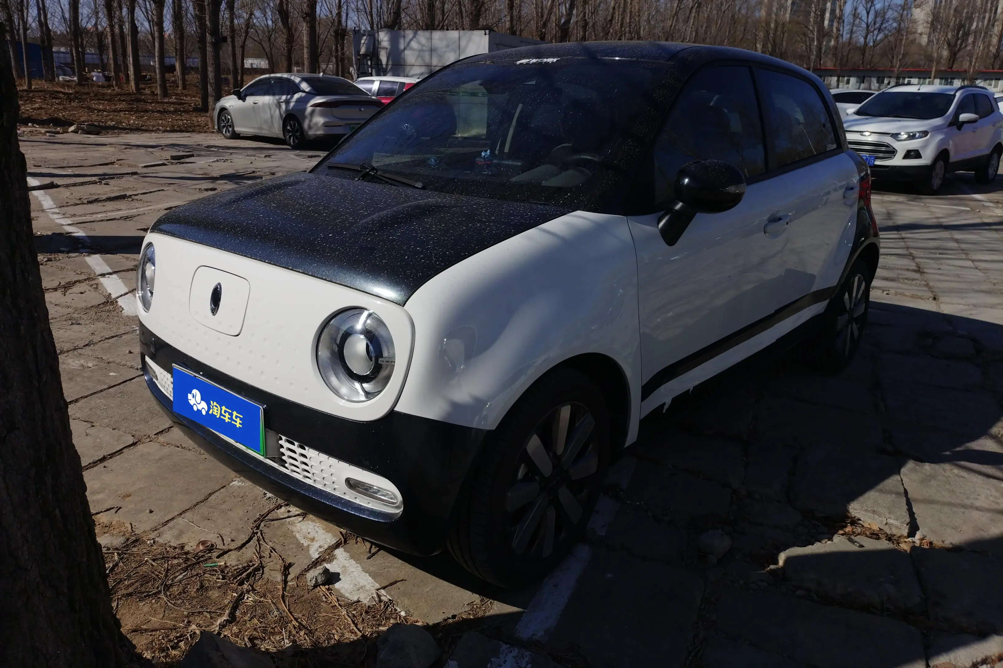 ORA Euler black cat  из Китая