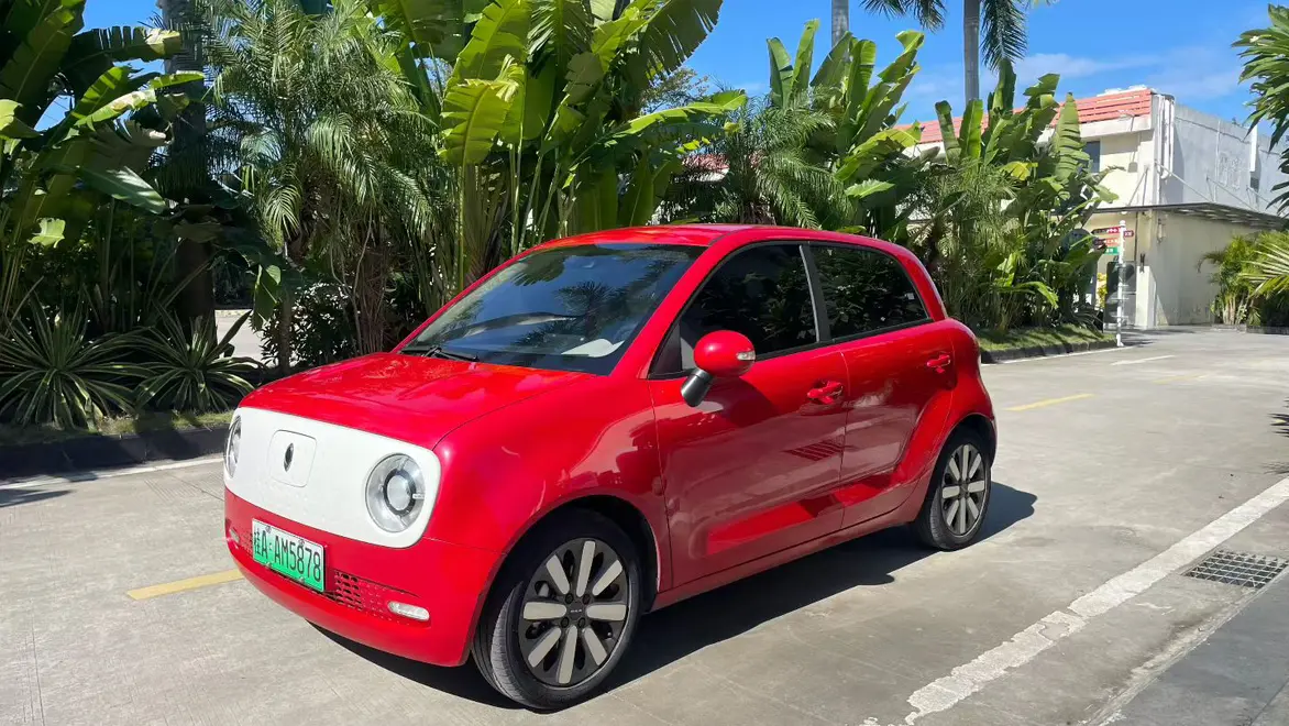 ORA Euler black cat  из Китая