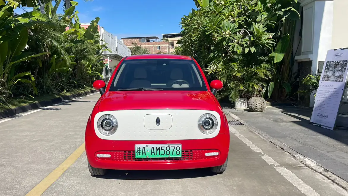 ORA Euler black cat  из Китая