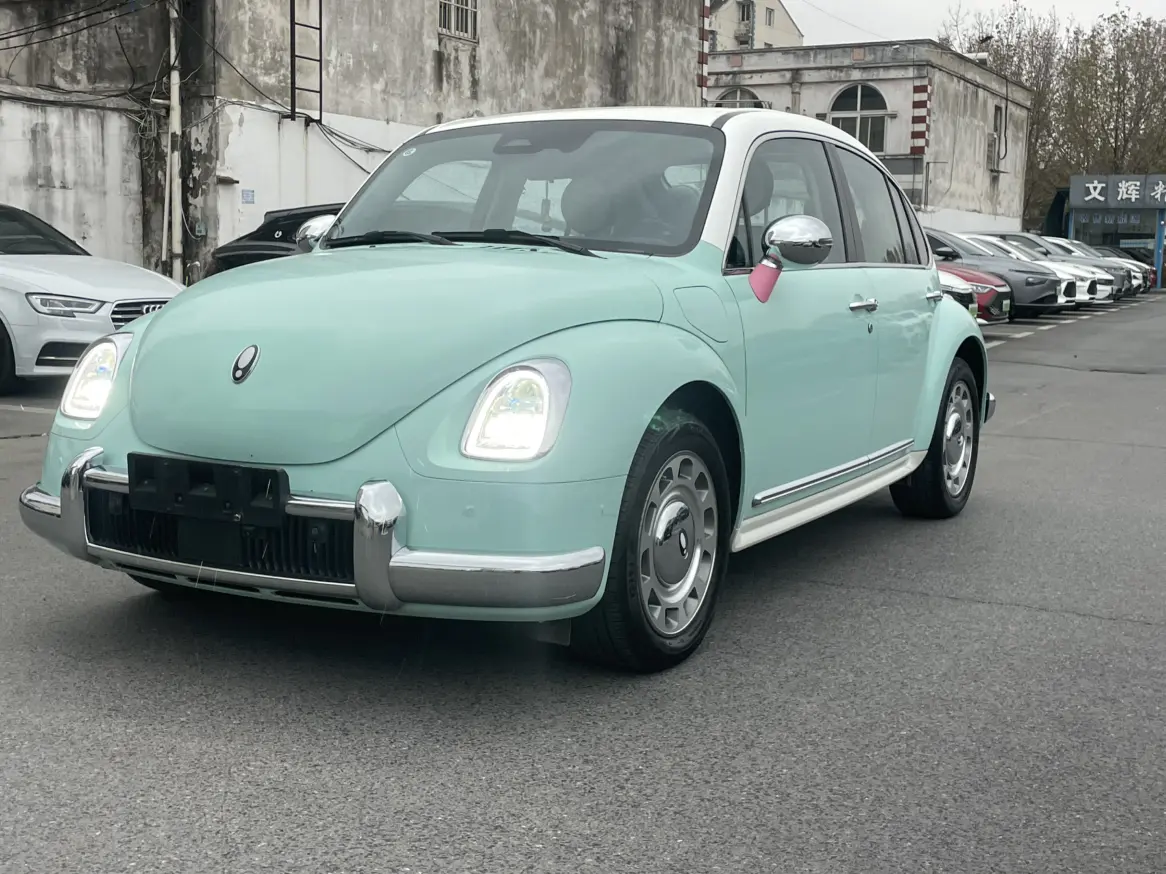 ORA Euler ballet cat  из Китая