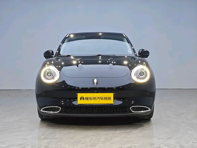 ORA Euler good cat  из Китая