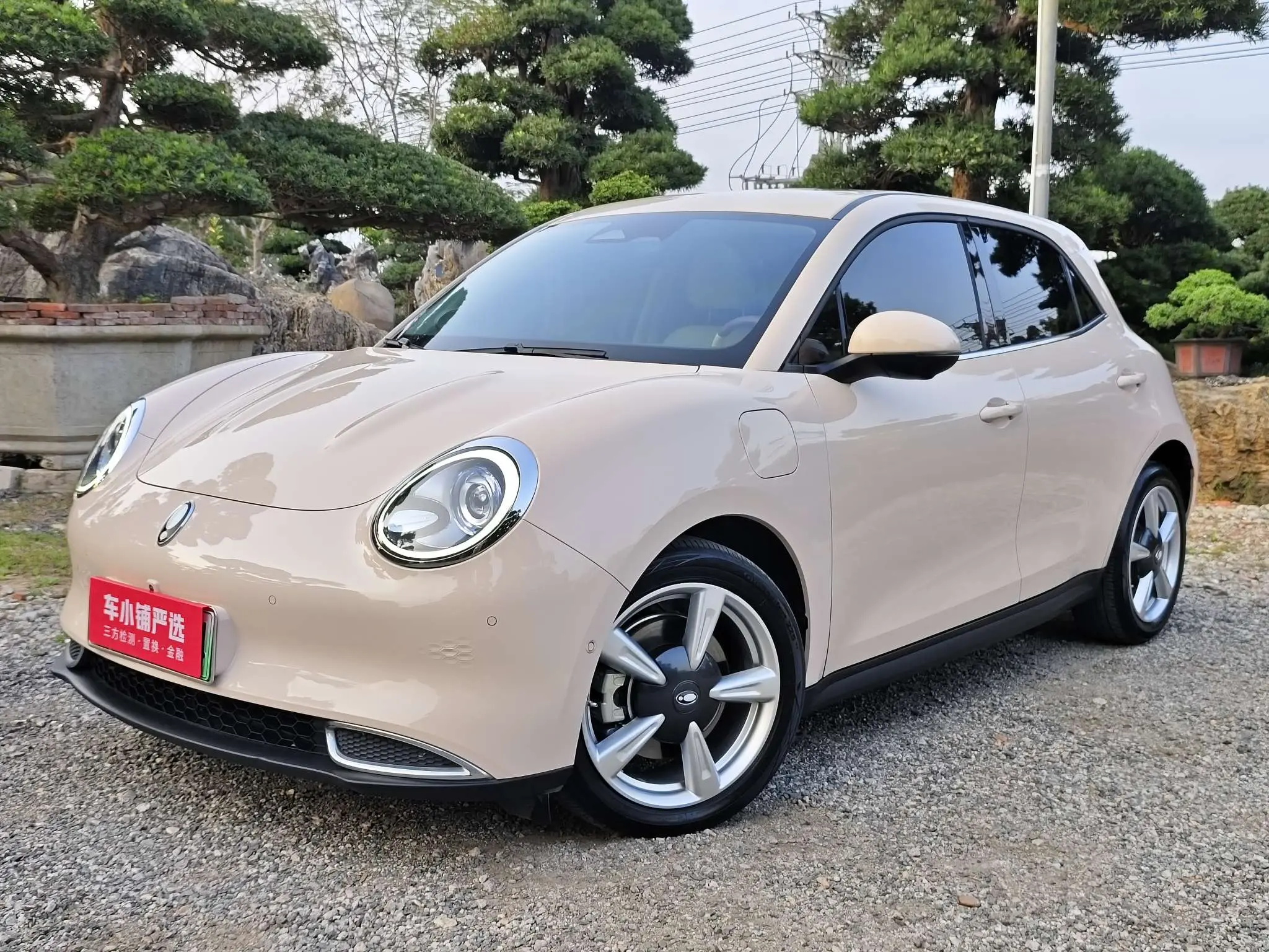 ORA Euler good cat  из Китая