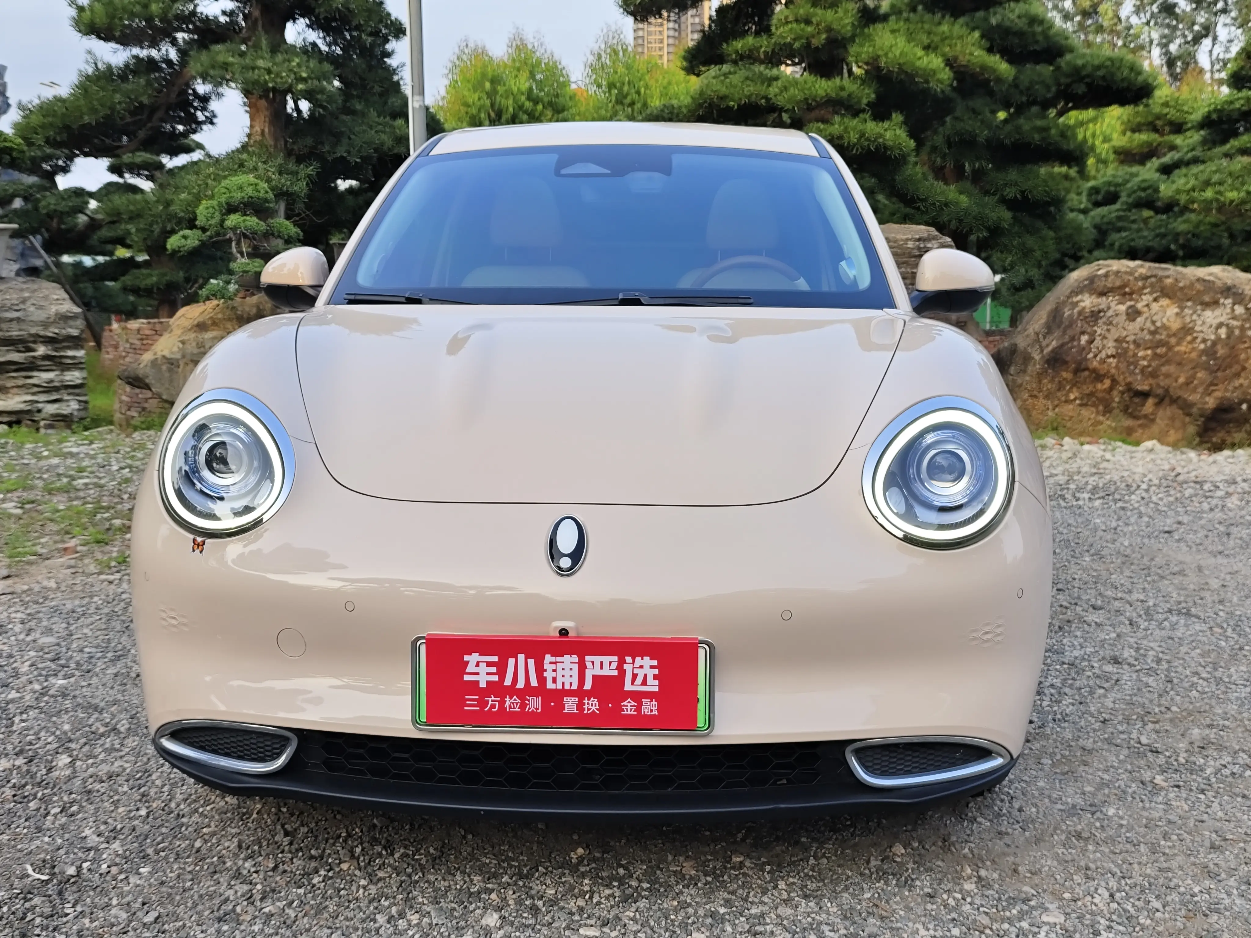 ORA Euler good cat  из Китая