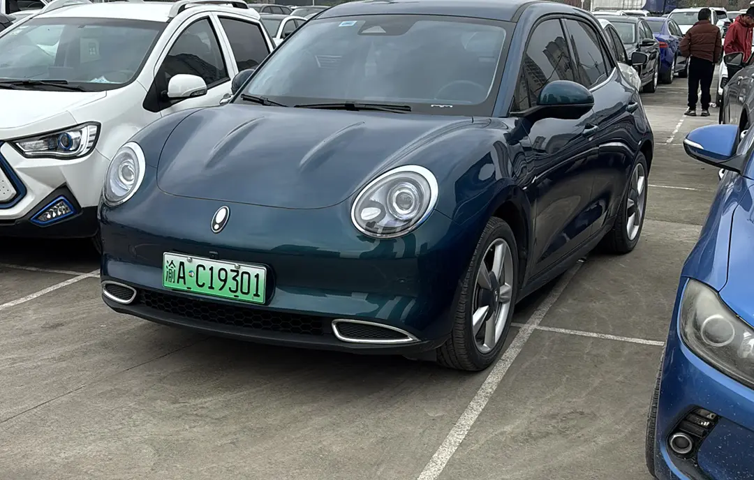 ORA Euler good cat  из Китая