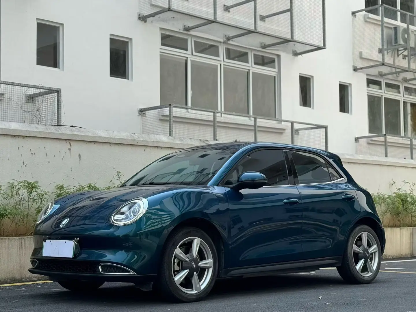 ORA Euler good cat  из Китая