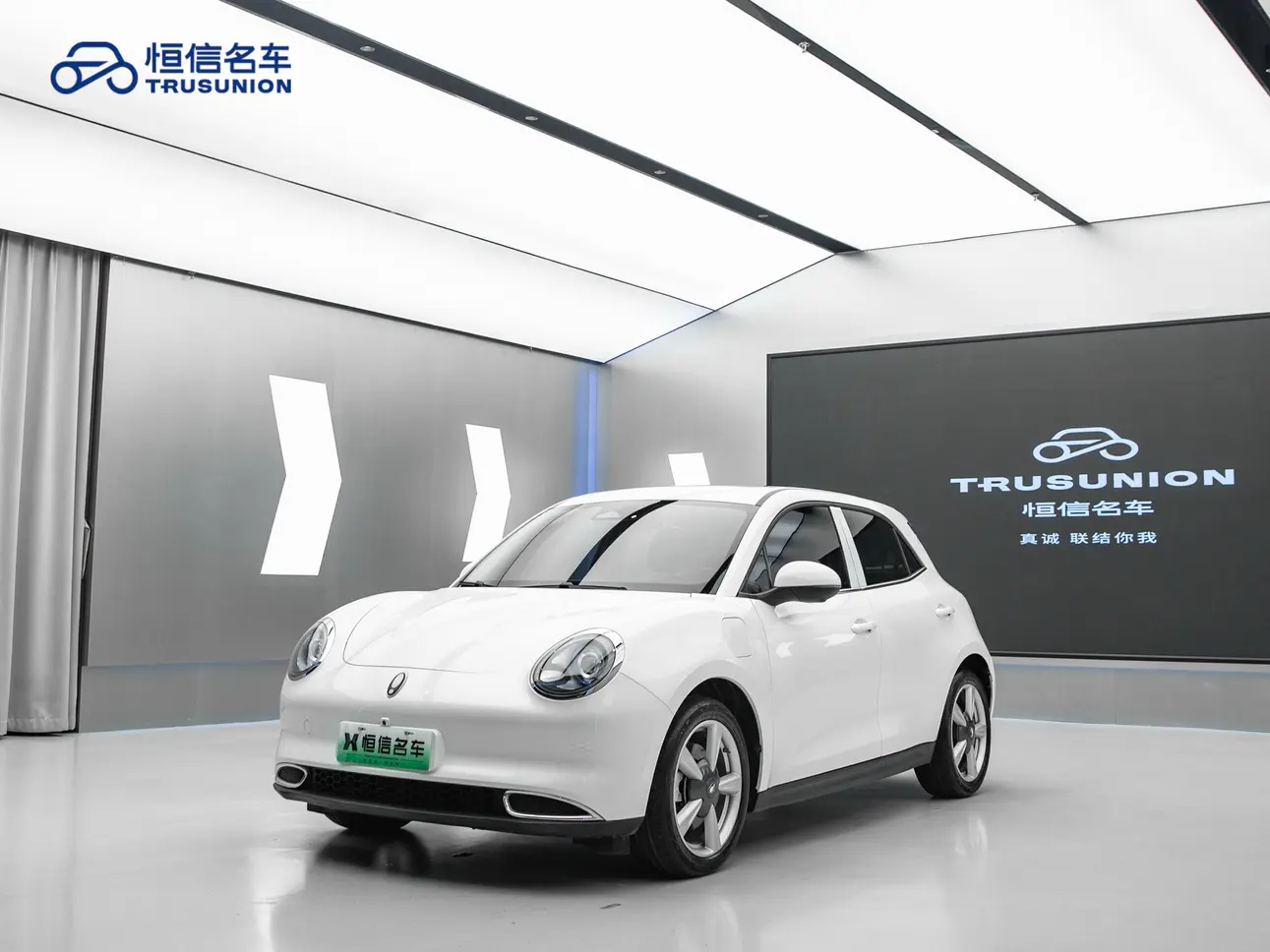 ORA Euler good cat  из Китая