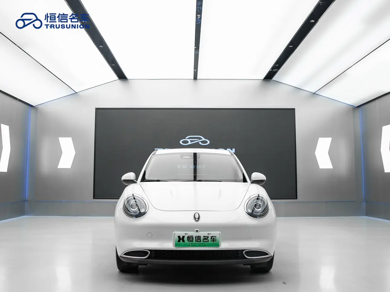 ORA Euler good cat  из Китая