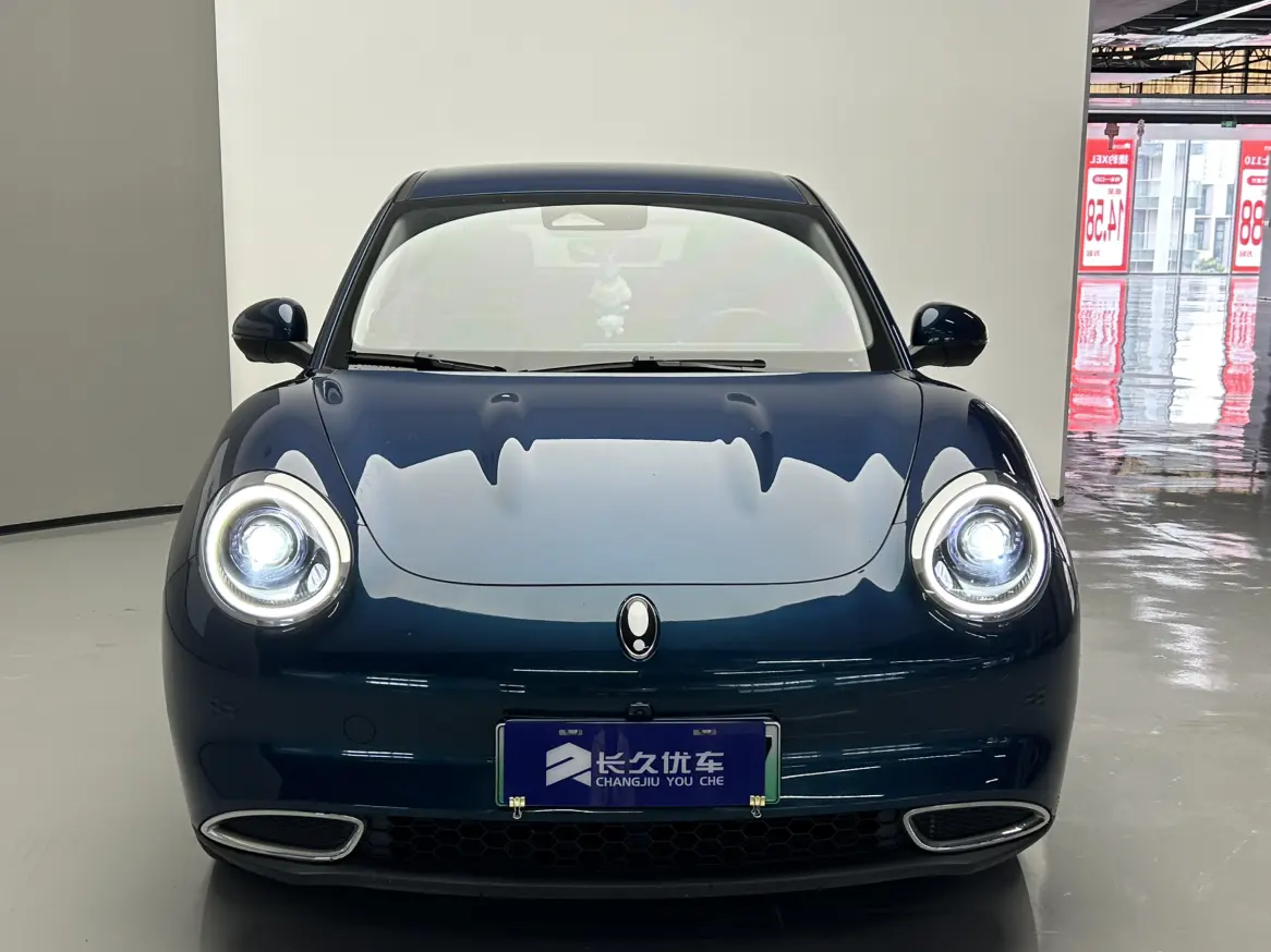 ORA Euler good cat  из Китая