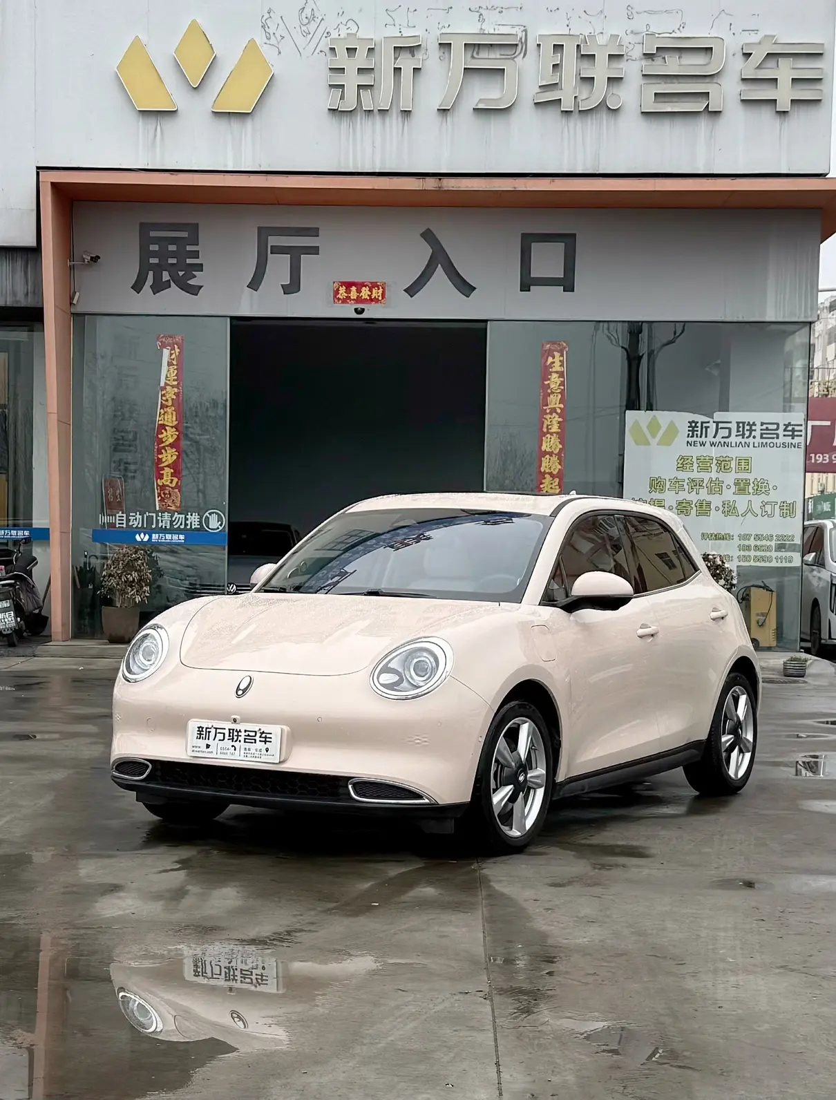 ORA Euler good cat  из Китая