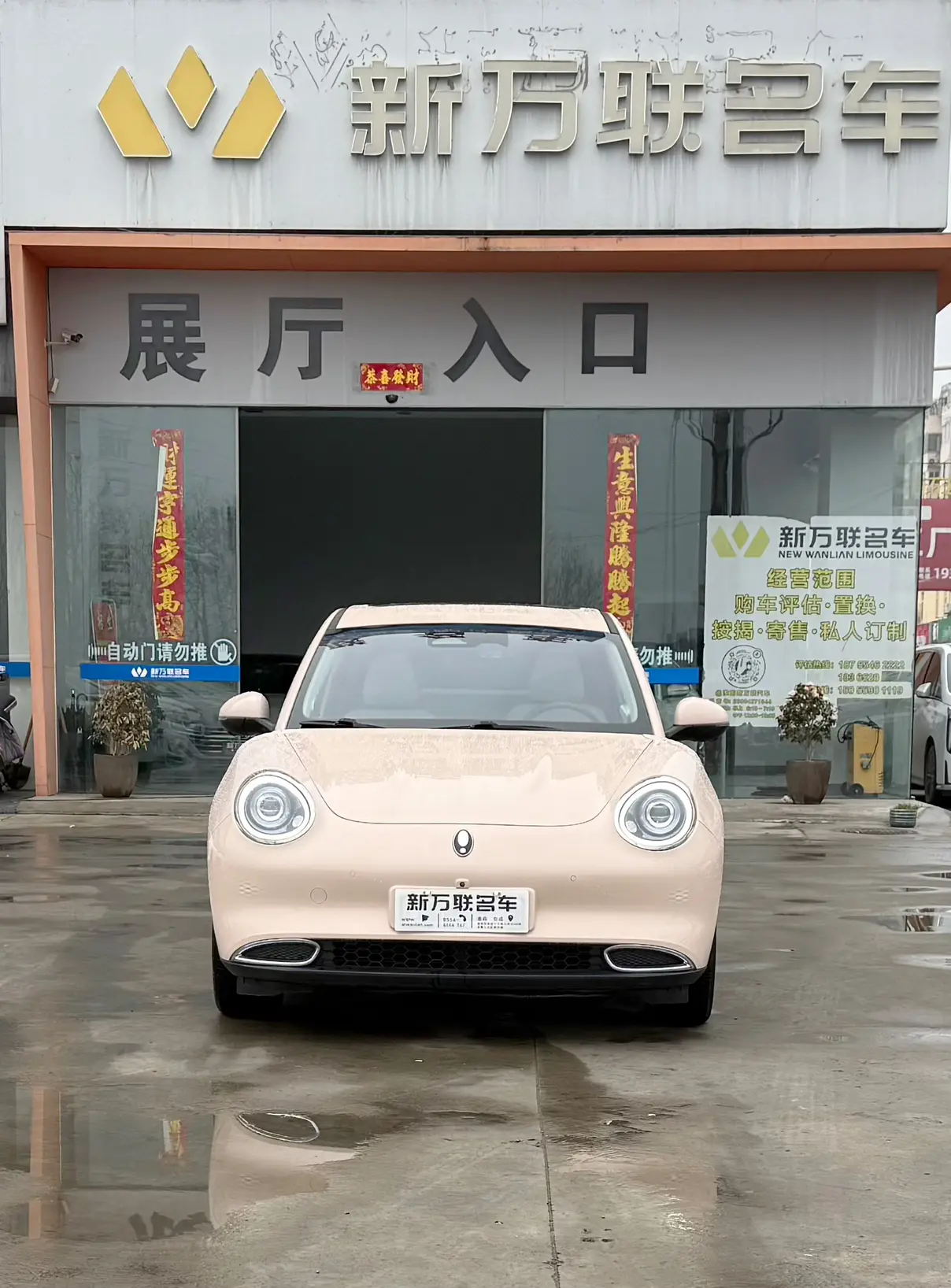 ORA Euler good cat  из Китая