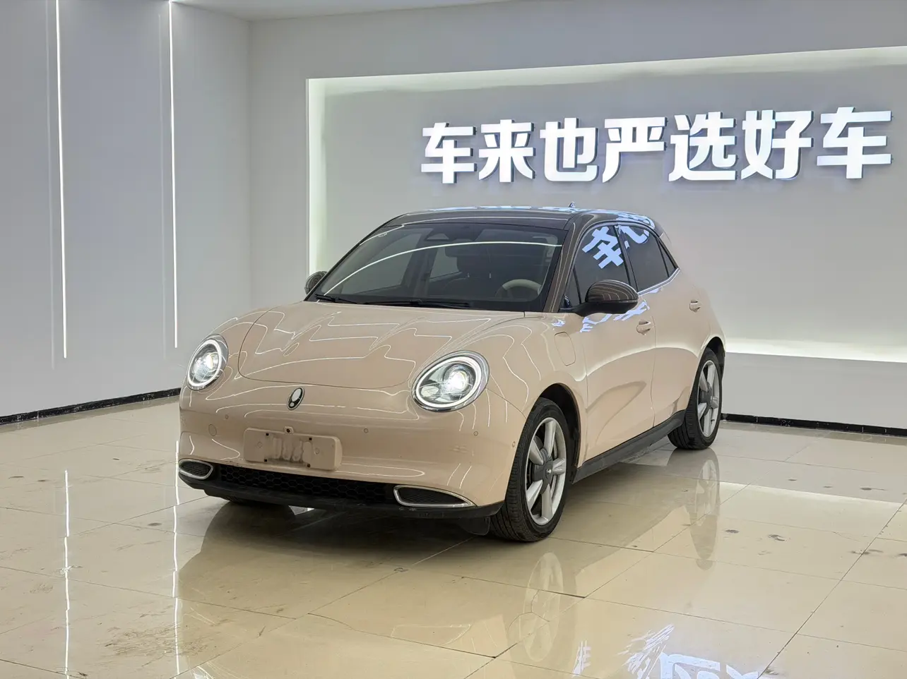 ORA Euler good cat  из Китая