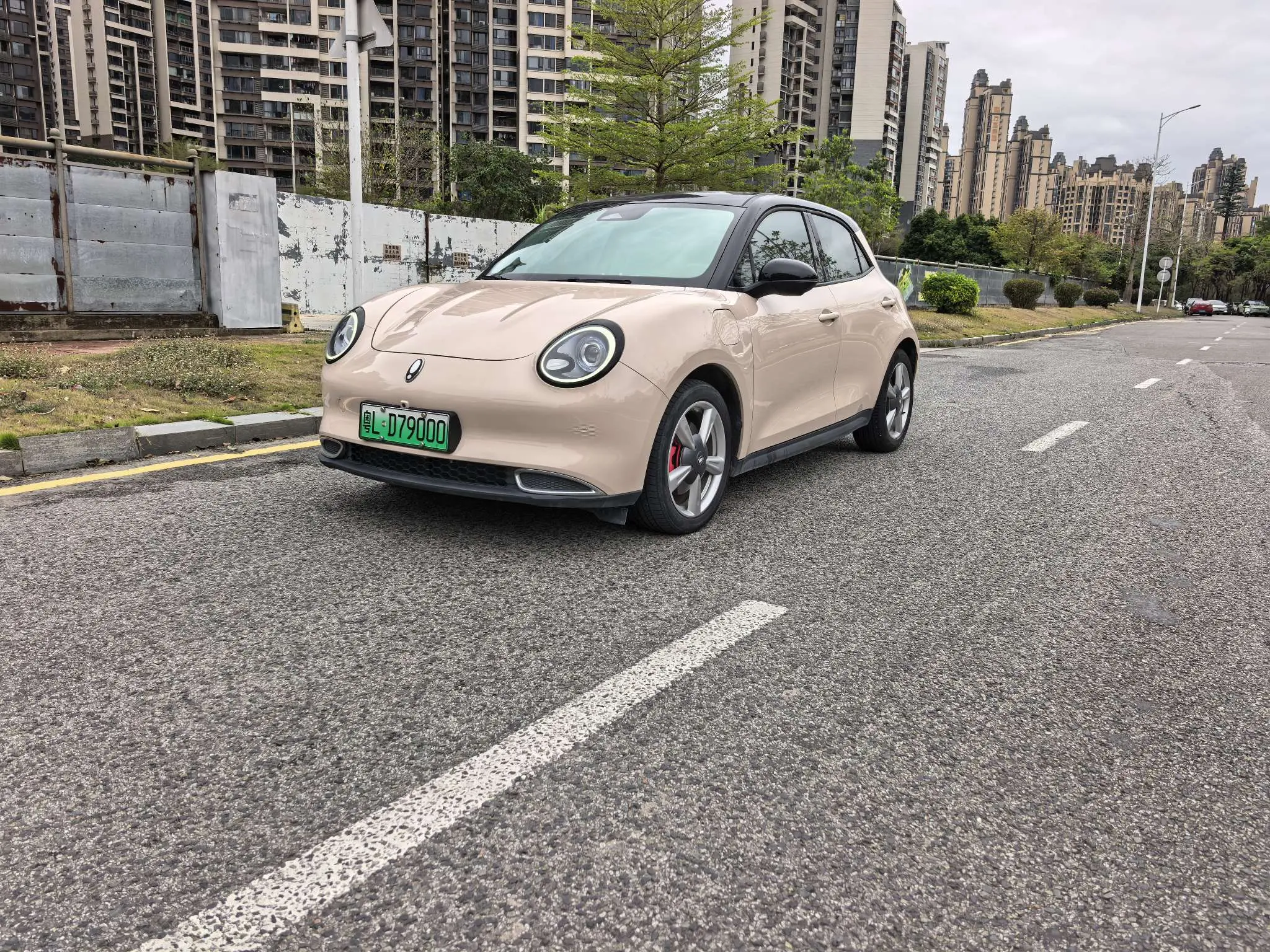 ORA Euler good cat  из Китая