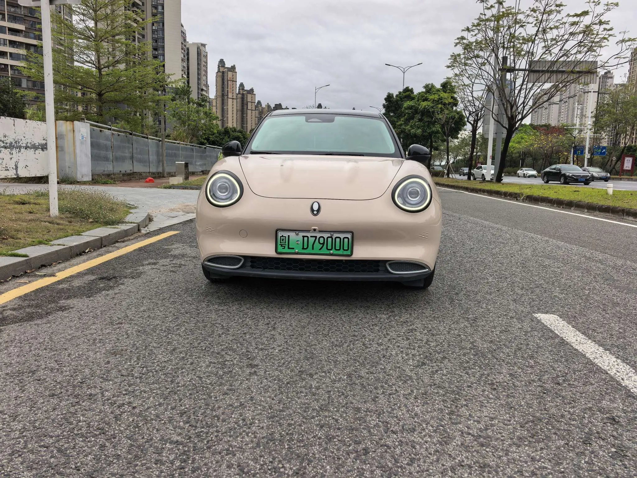 ORA Euler good cat  из Китая