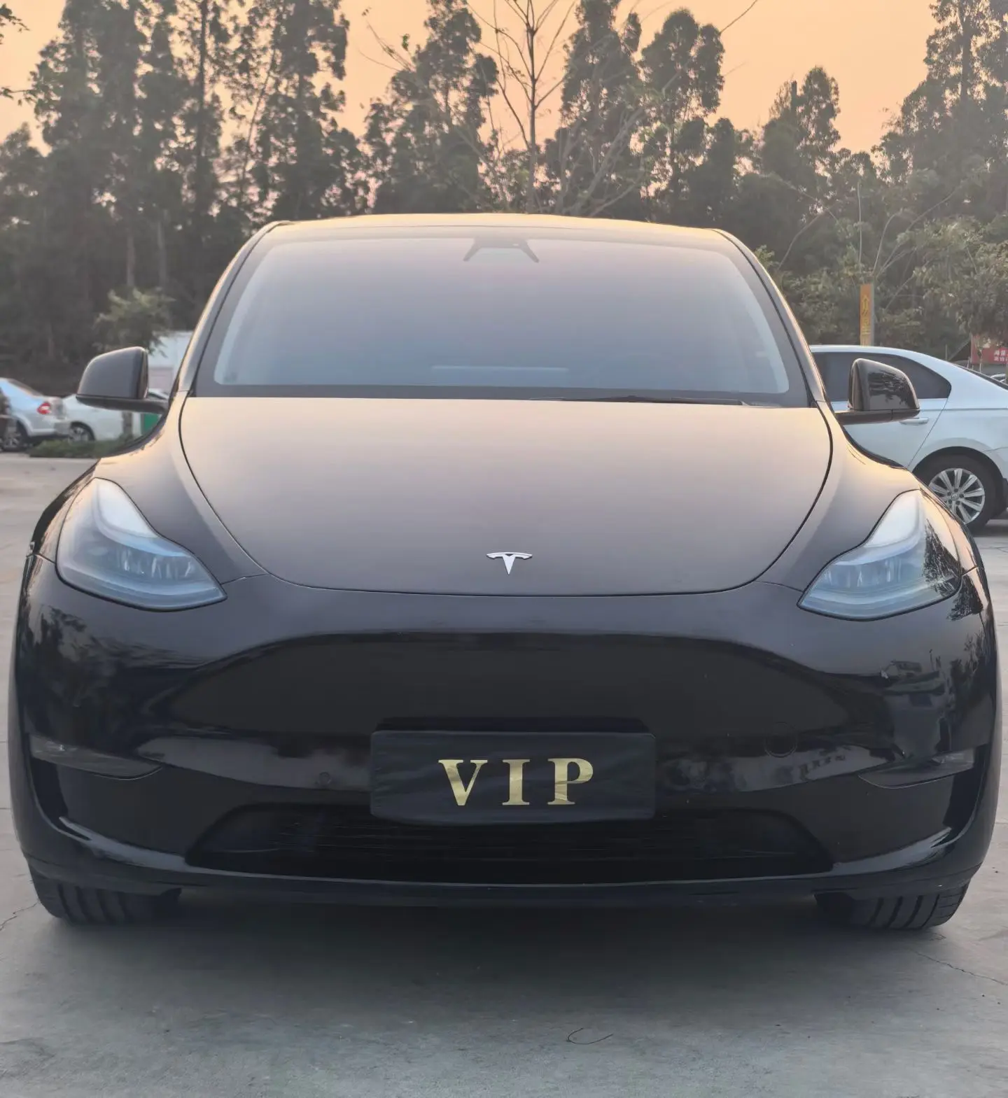 Tesla Model Y  из Китая