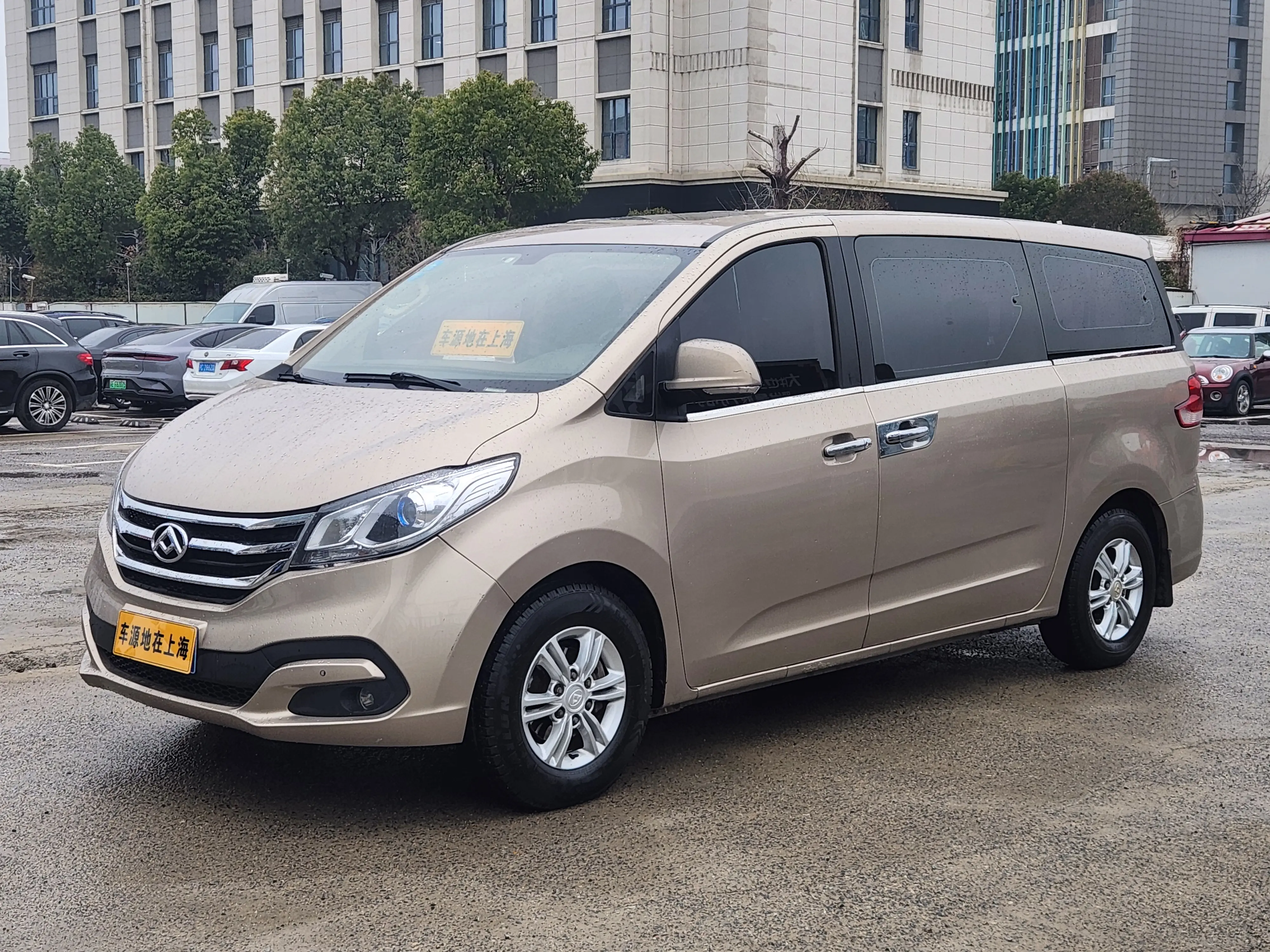 Datong Maxus G10
