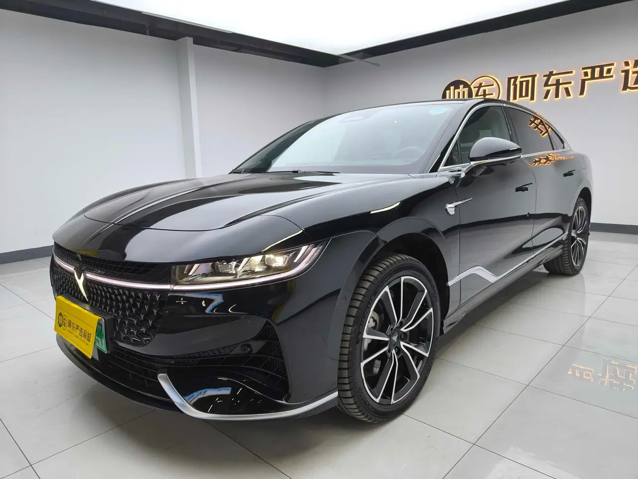 Voyah Passion PHEV