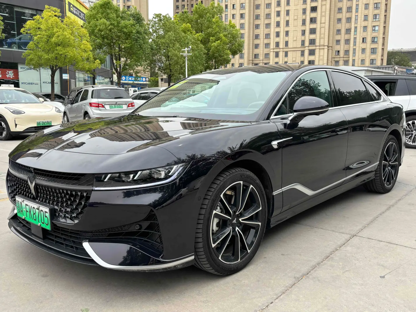 Voyah Passion PHEV