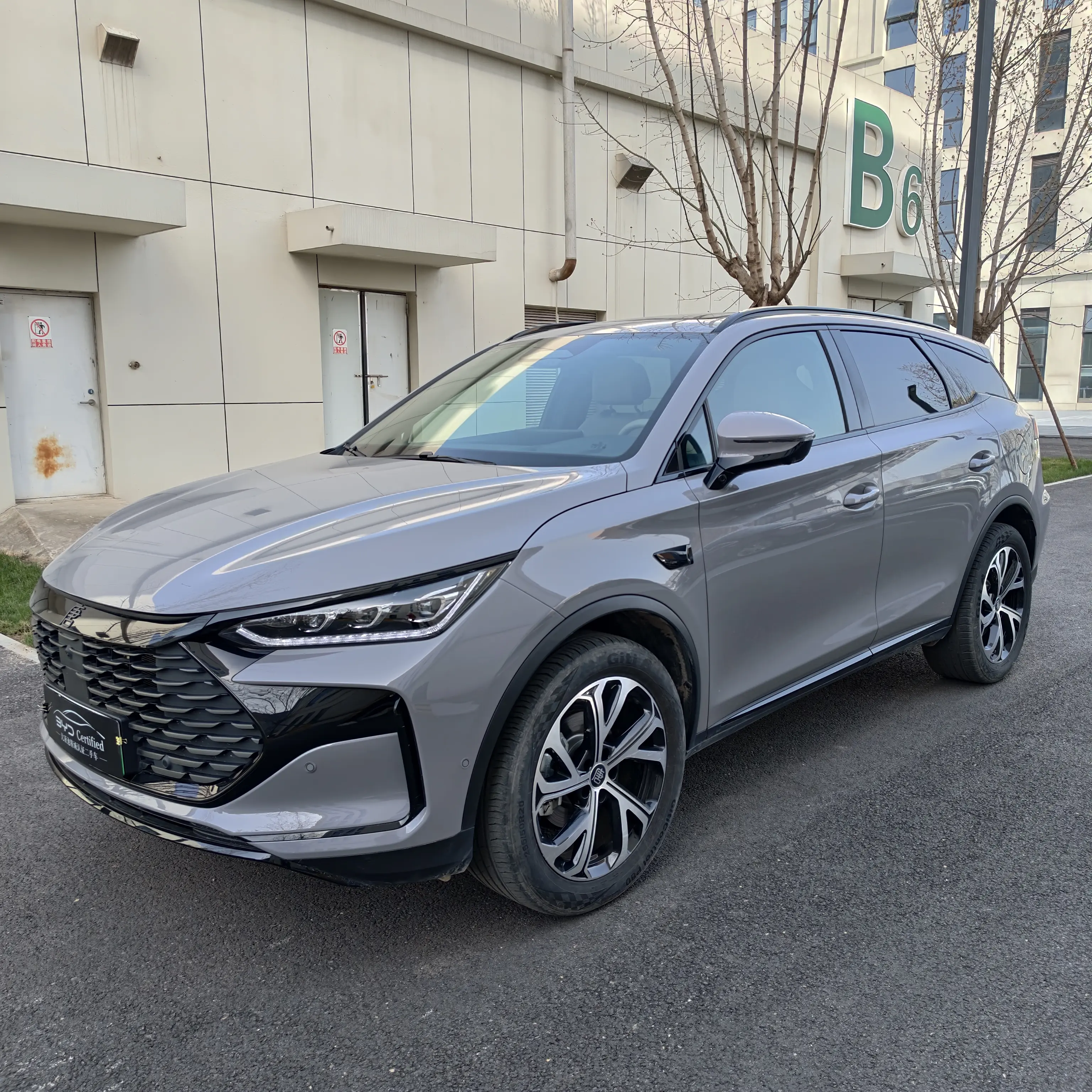 BYD Tang DM
