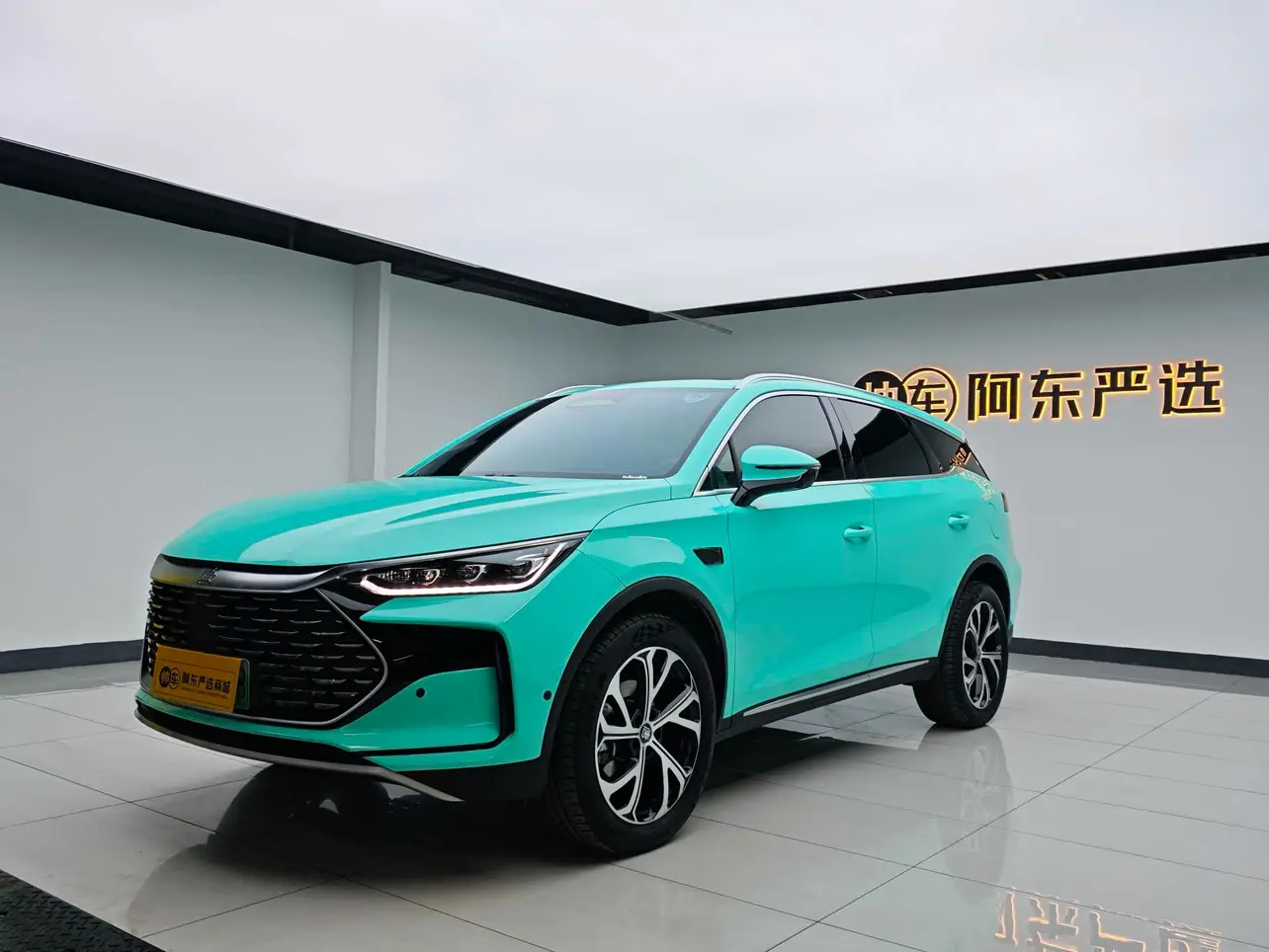 BYD Tang DM