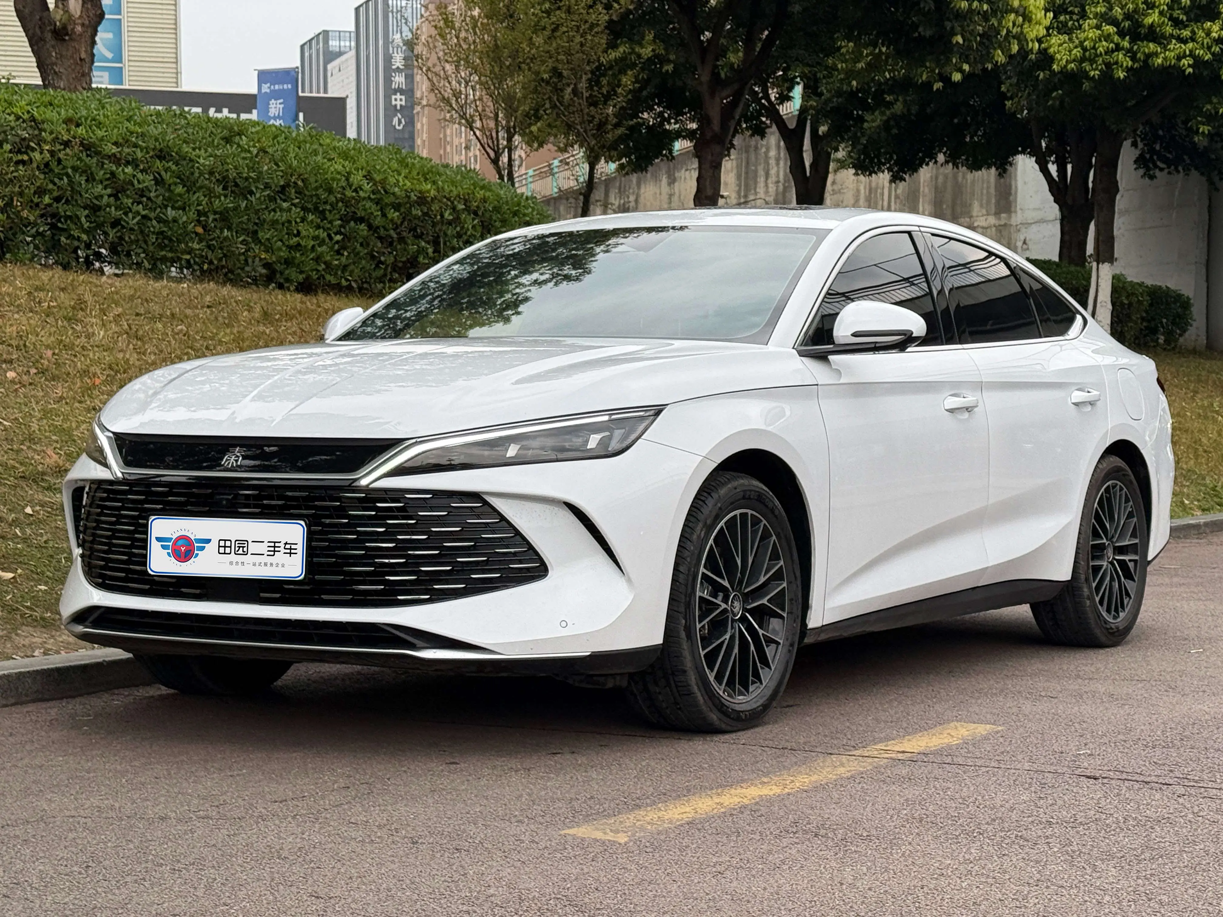 BYD Qin L DM