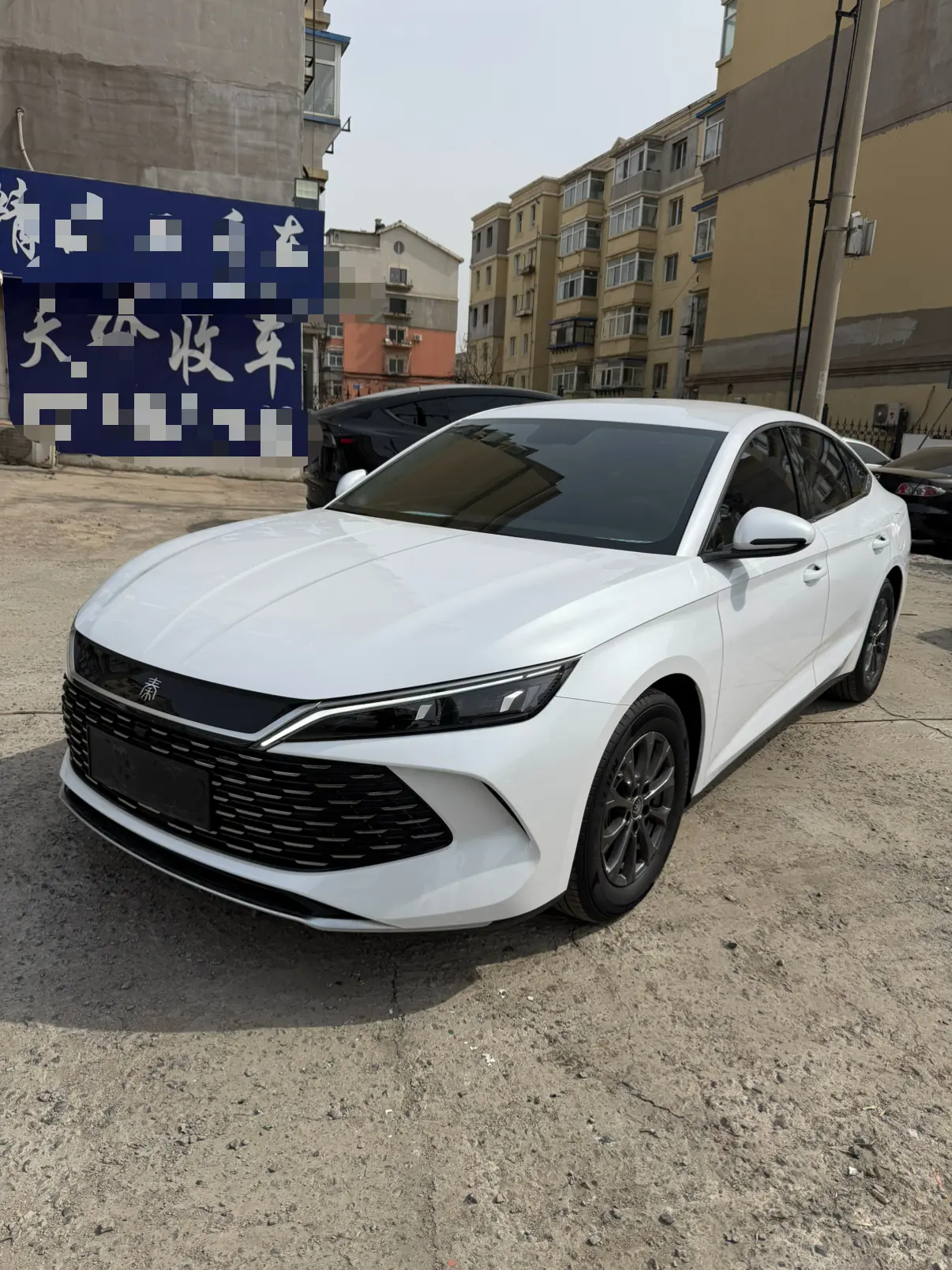 BYD Qin L DM