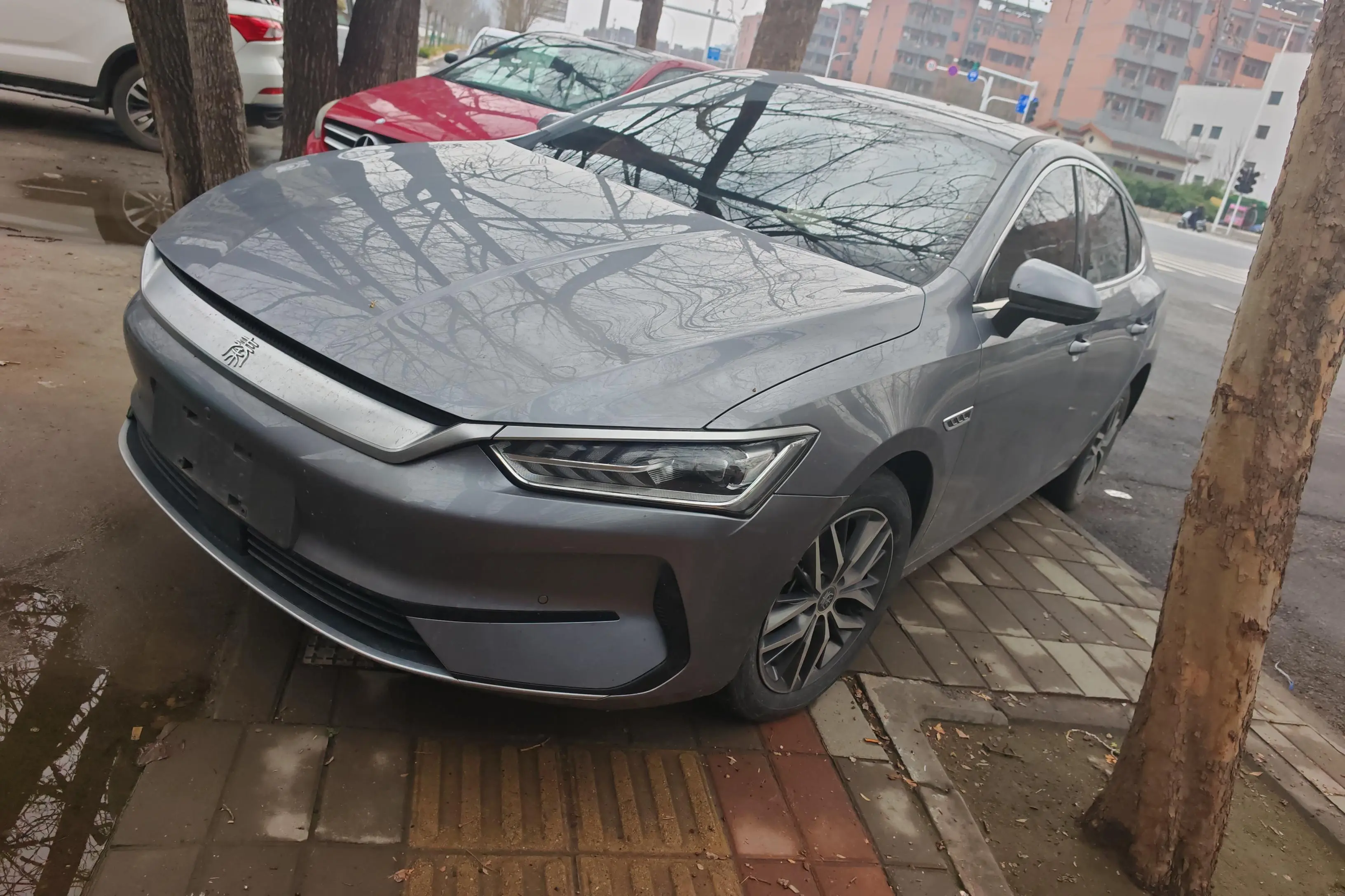 BYD Qin PLUS EV