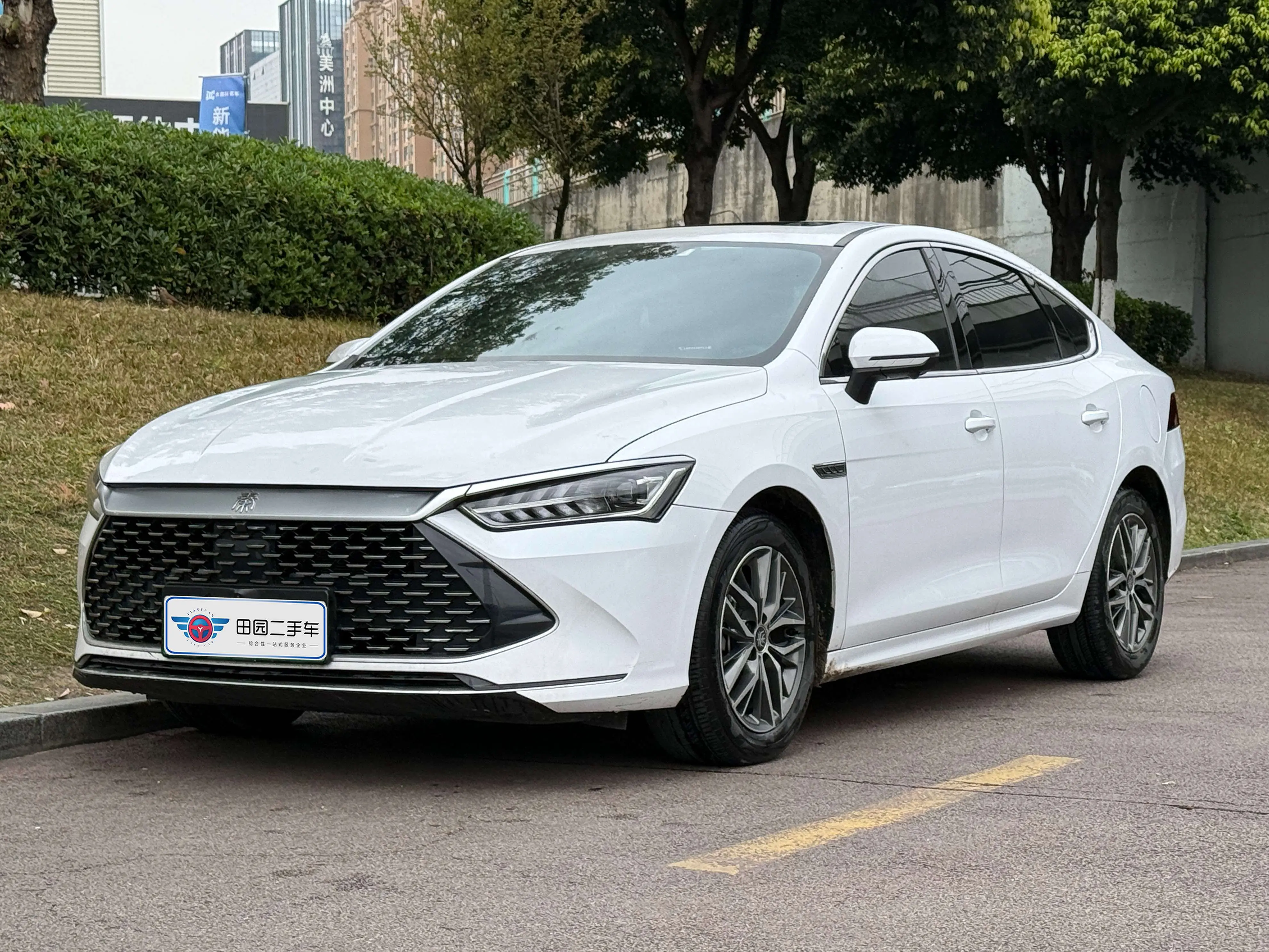 BYD Qin PLUS DM