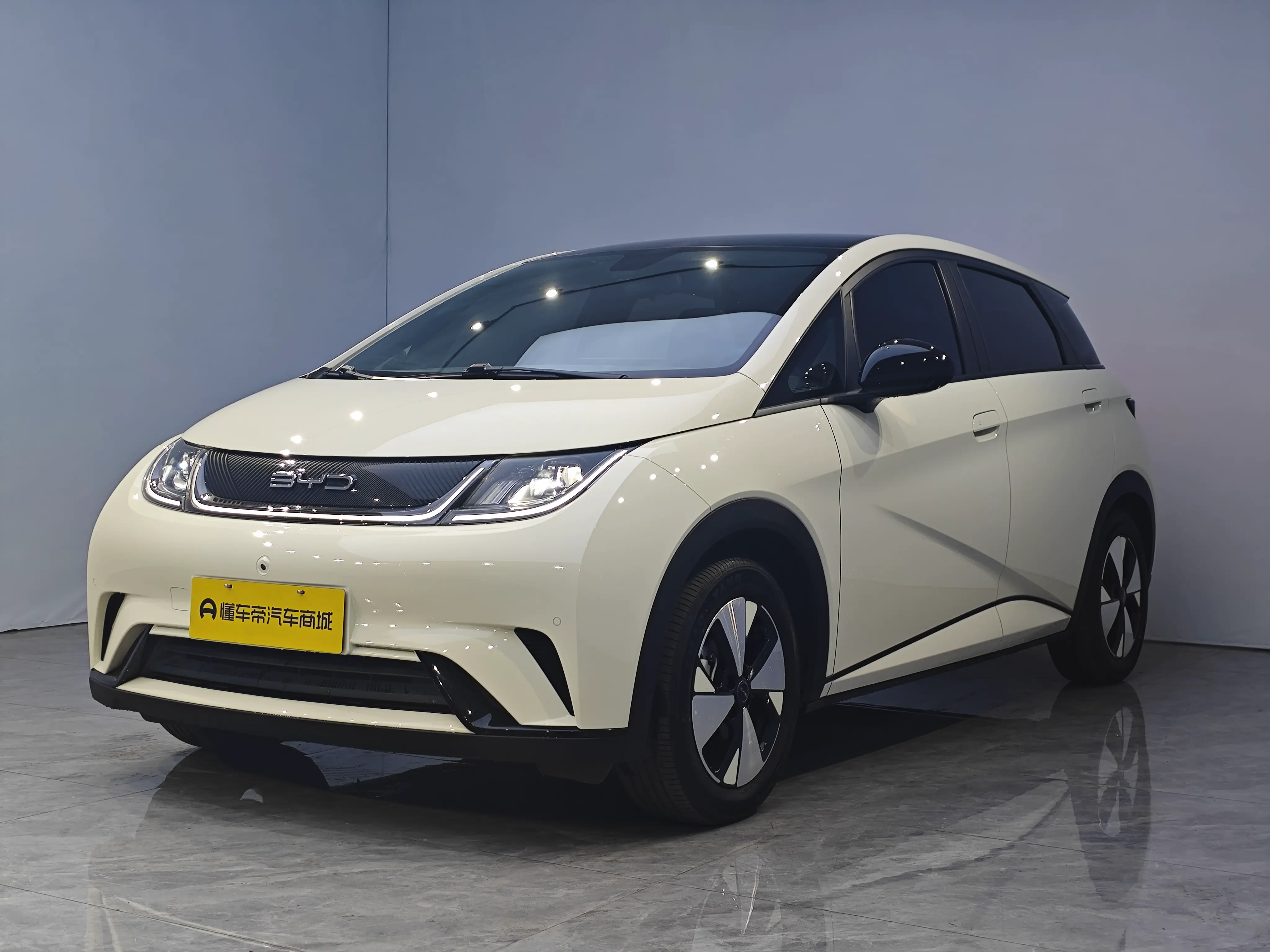 BYD Dolphin  из Китая